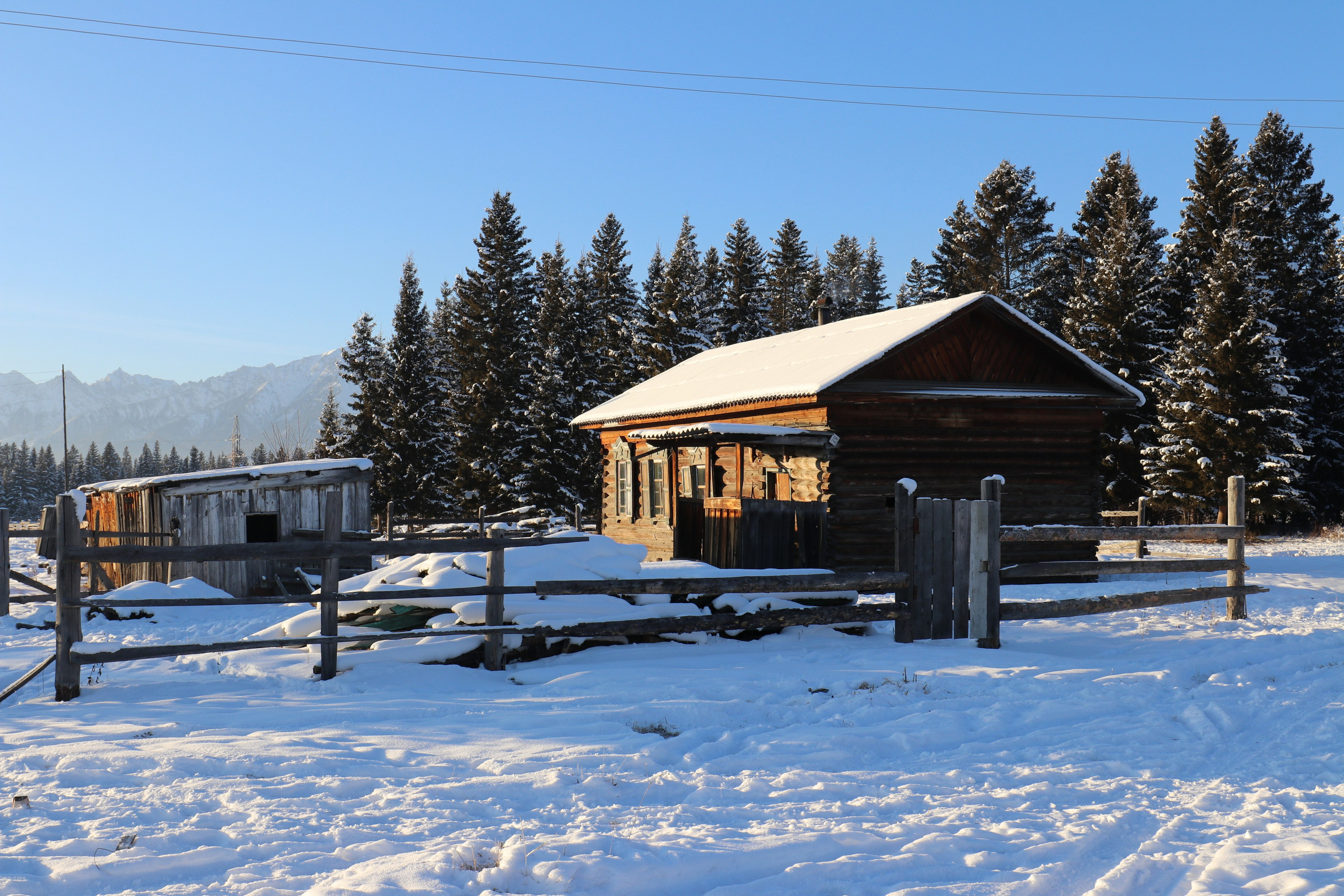 Аршан. Январь 2022. Путешественник-фотограф из Санкт-Петербурга Татьяна Свистулина