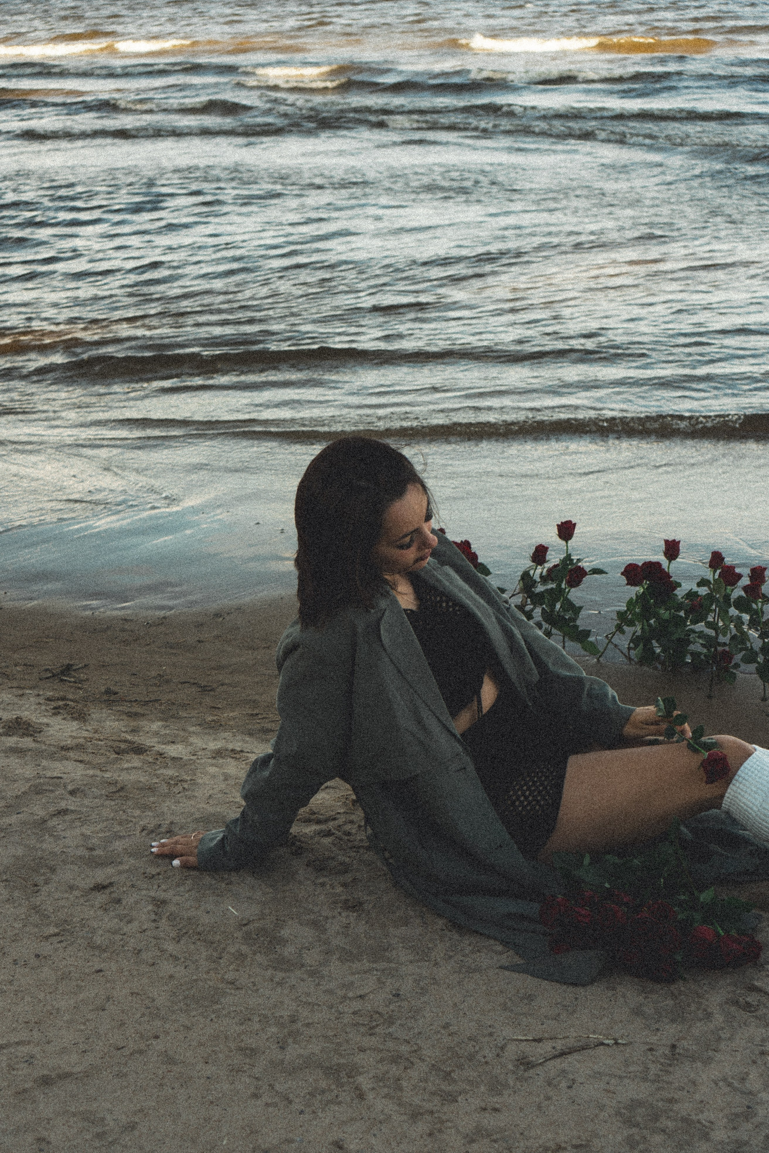 Розы. Профессиональный фотограф, Санкт-Петербург — Виктория Богомолова