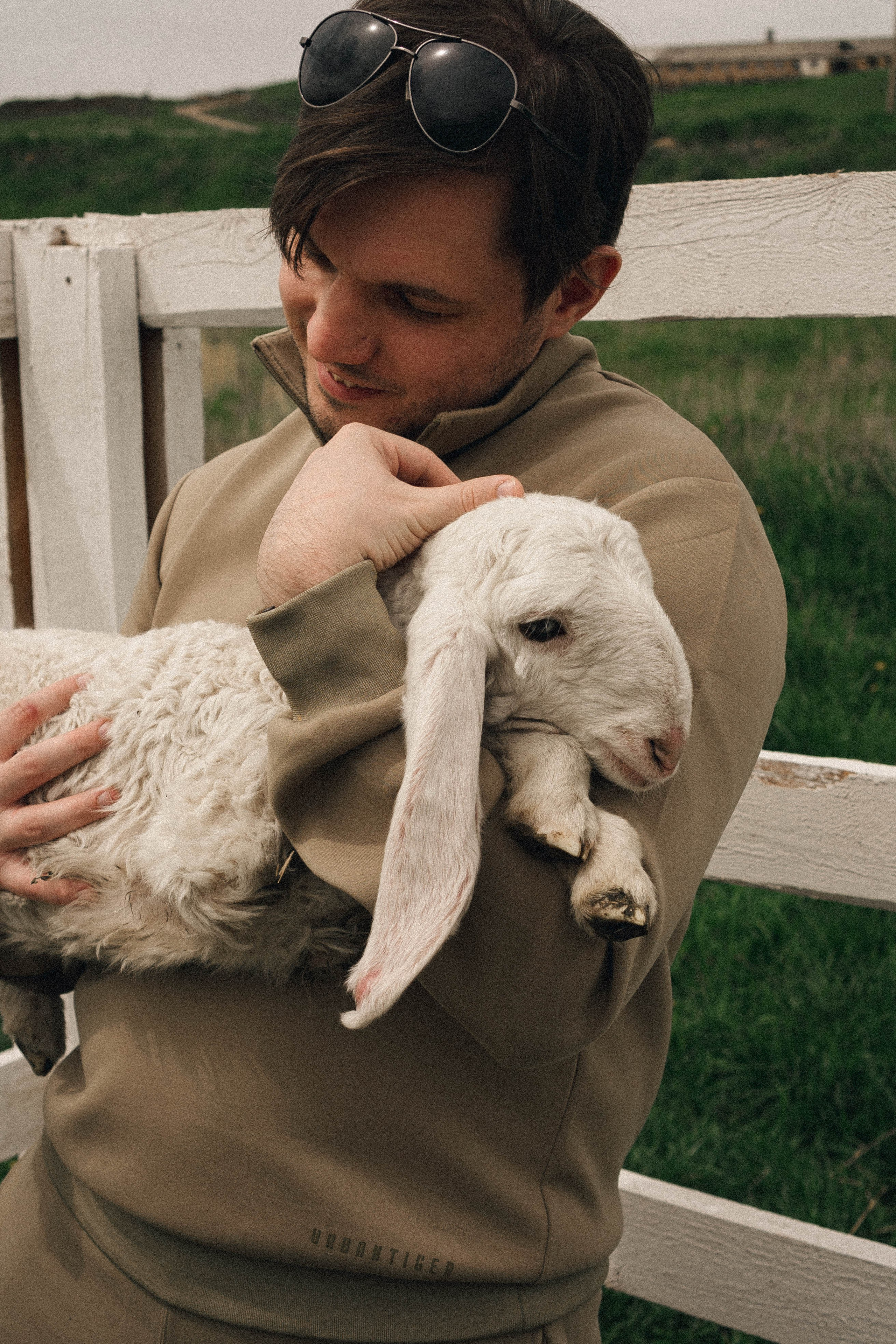 Ферма Альпак. Профессиональный фотограф, Санкт-Петербург — Виктория Богомолова