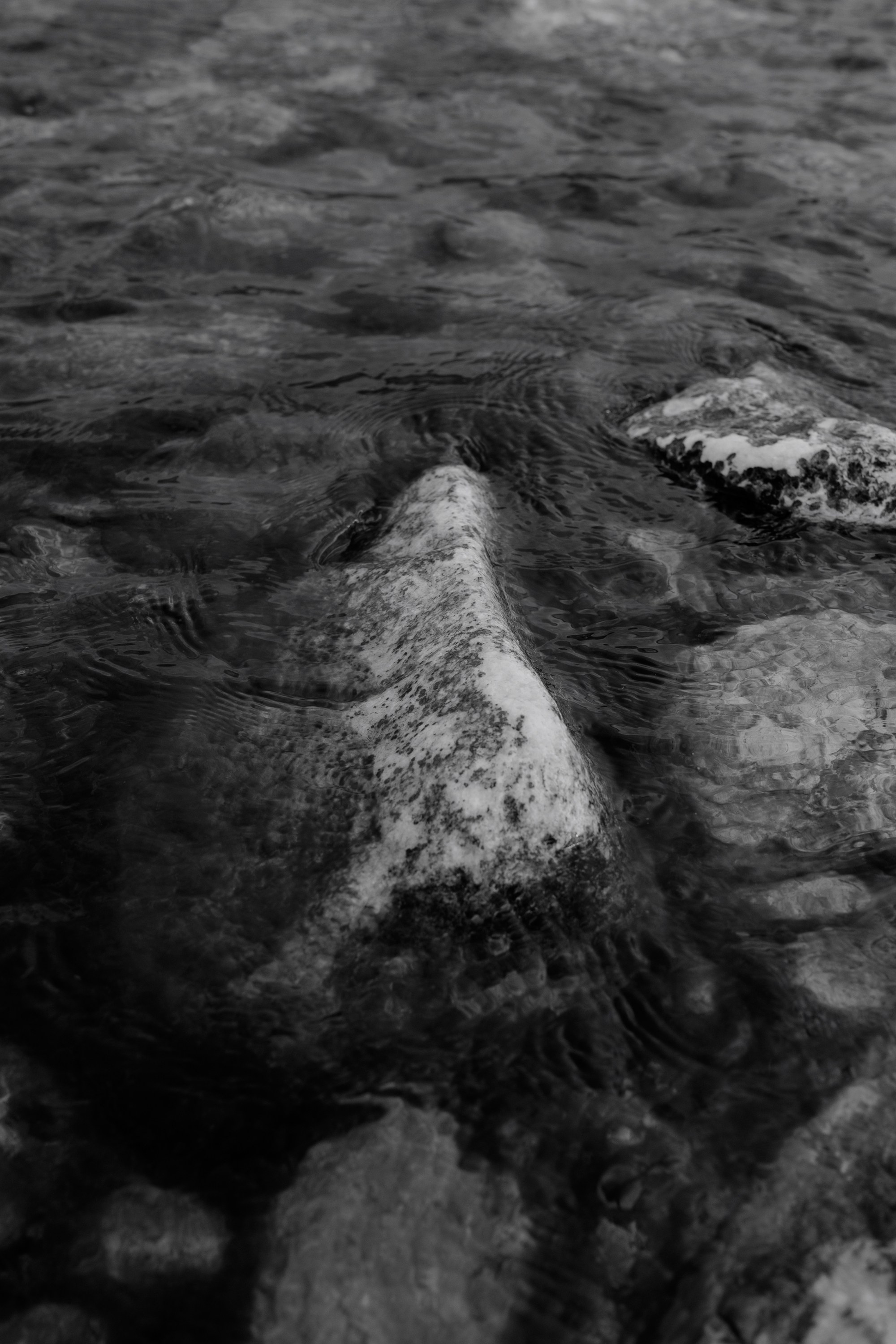 Ты, я и море. Свадебный фотограф