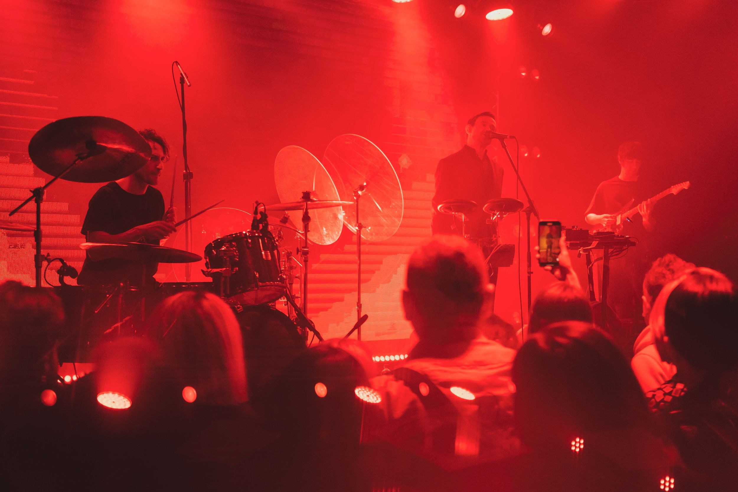 Дельфин. Репортажный фотограф Алексей Пирязев