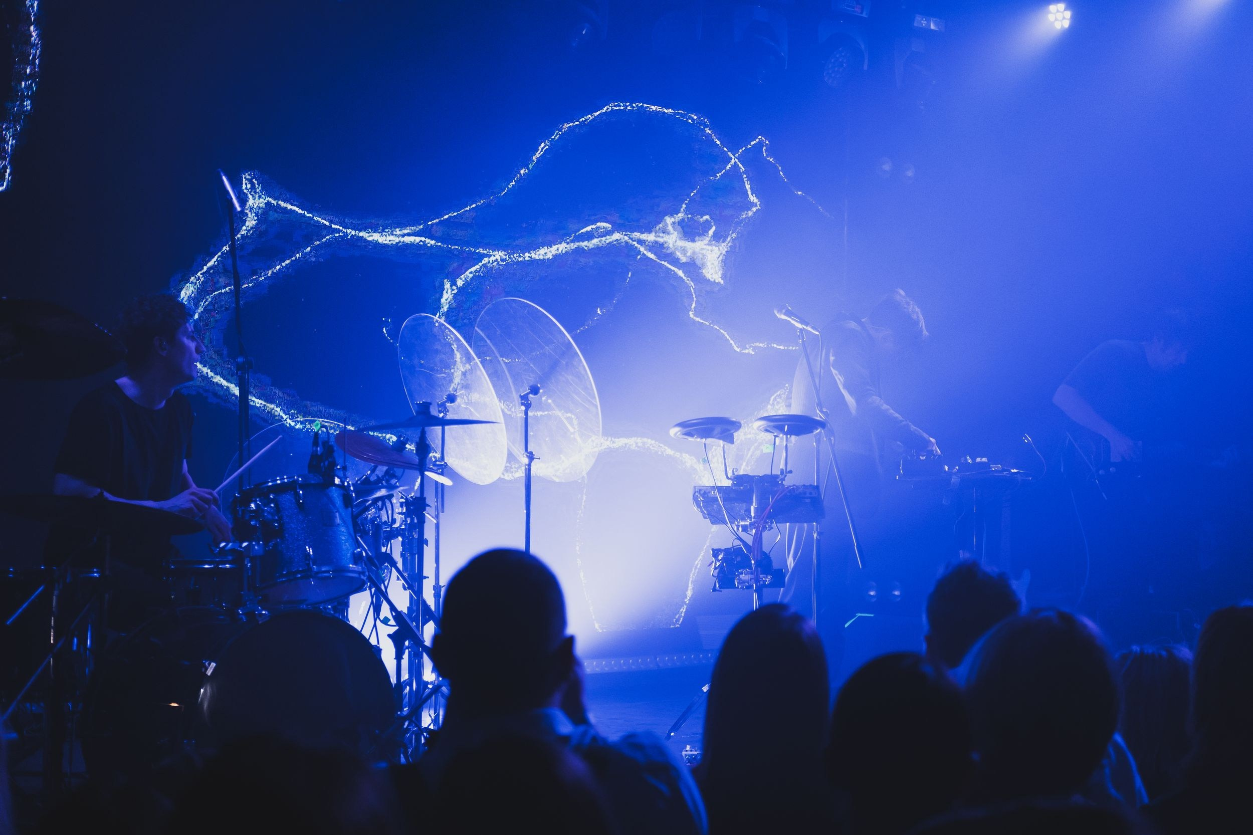 Дельфин. Репортажный фотограф Алексей Пирязев