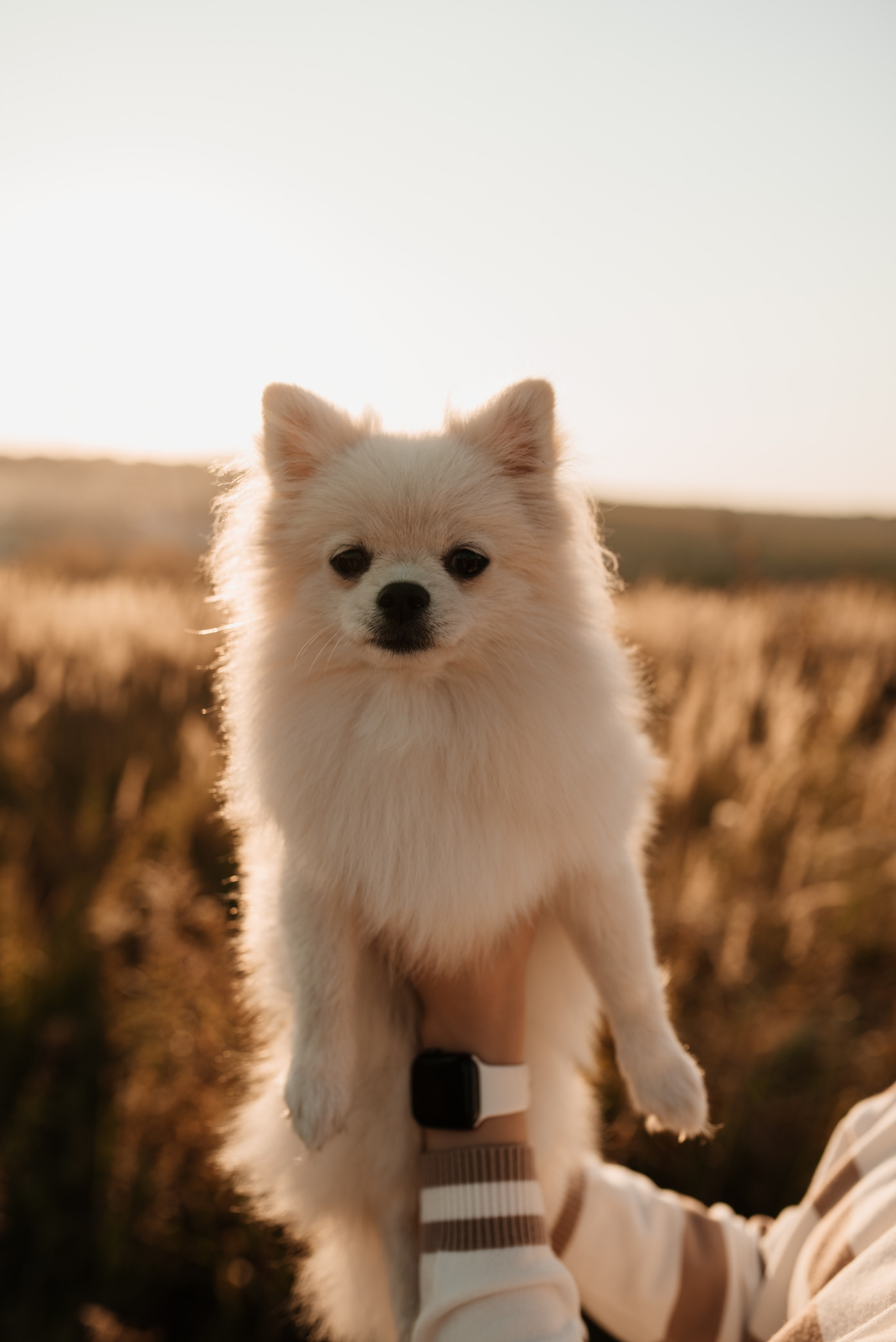 Наташа ♡ Женя. Фотограф Ольга Плеханова | Нижний Новгород, Москва
