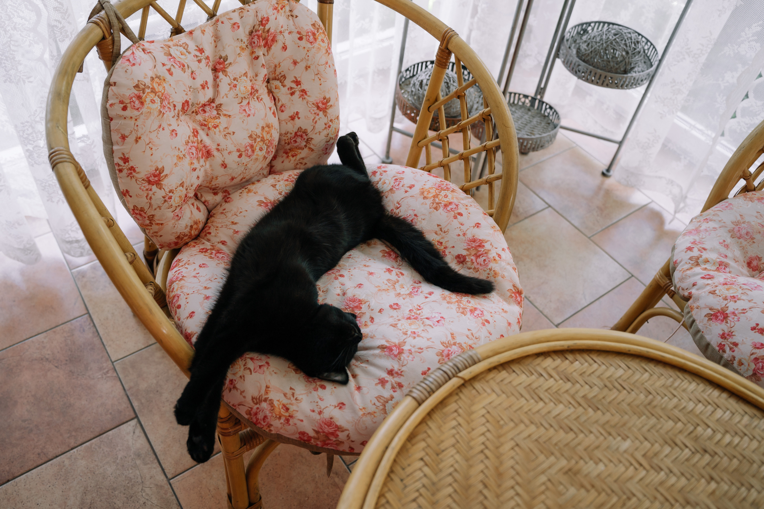 Елизавета и Алексей. Ульяна Ремезова | Фотограф | Челябинск