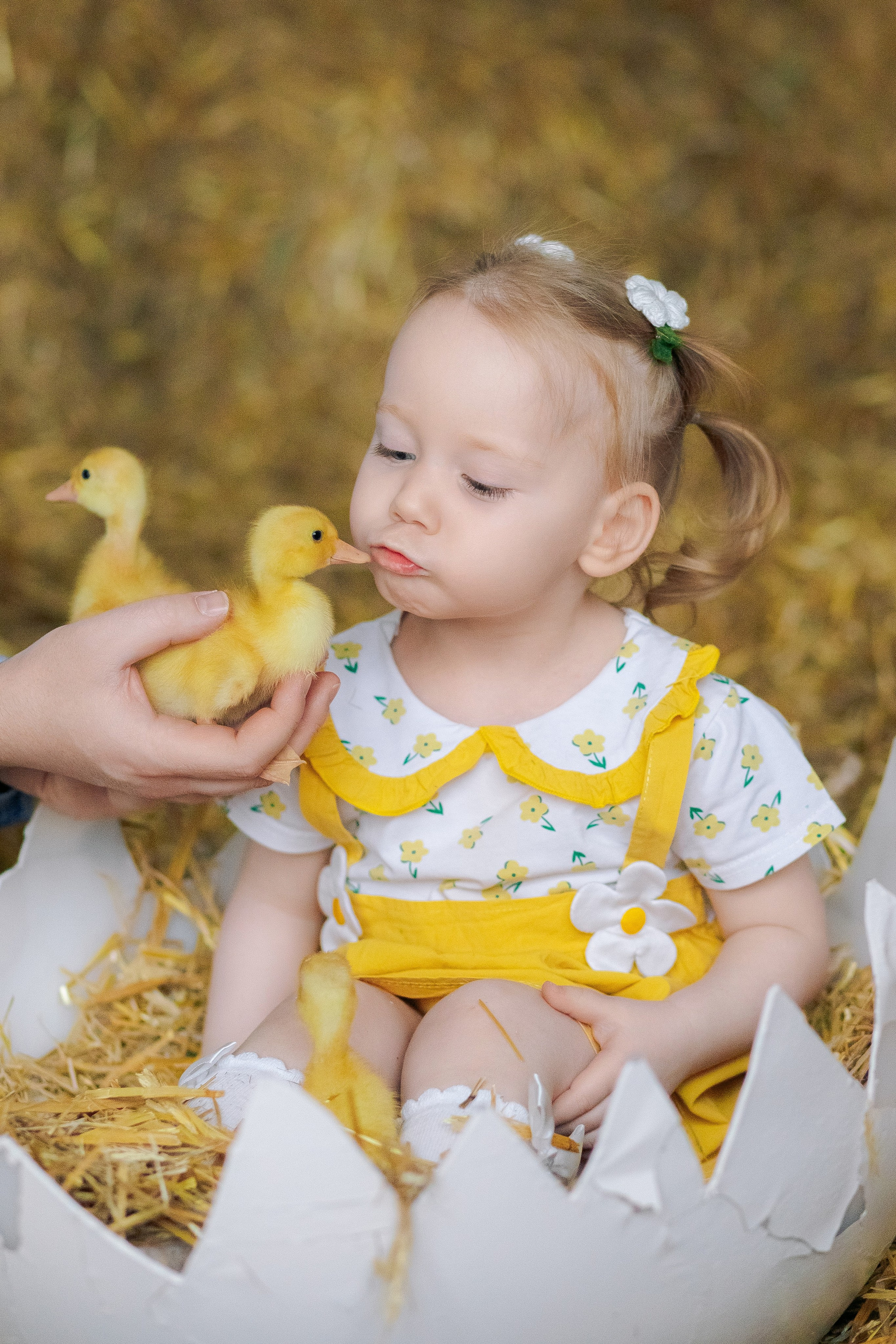 Пасхальная фотосессия с утятами в студии. Семейный фотограф Анна Скворцова