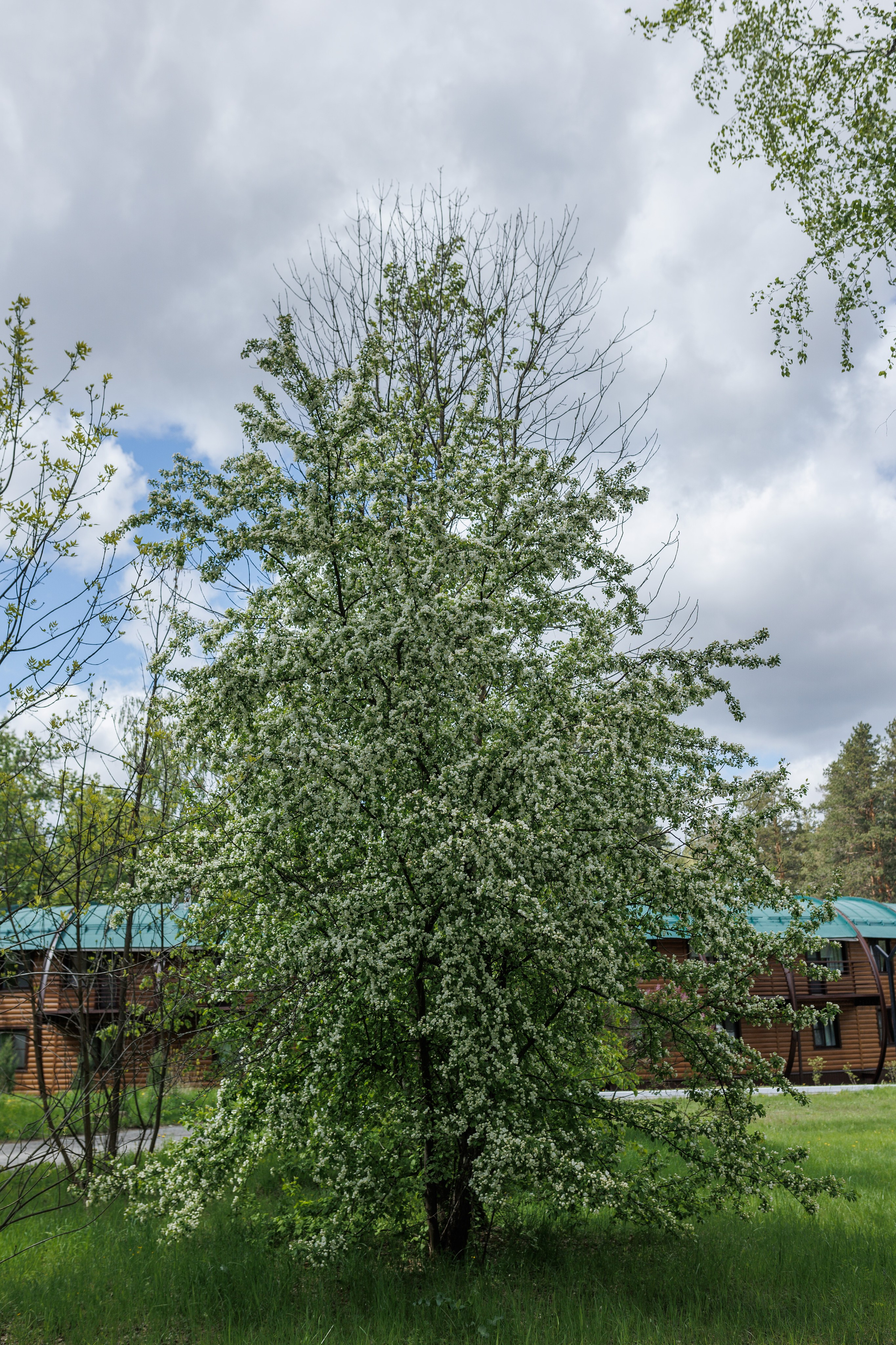 База отдыха «Металлург». Фотограф городских и семейных событий в Нижнем Новгороде Артем Карпухин