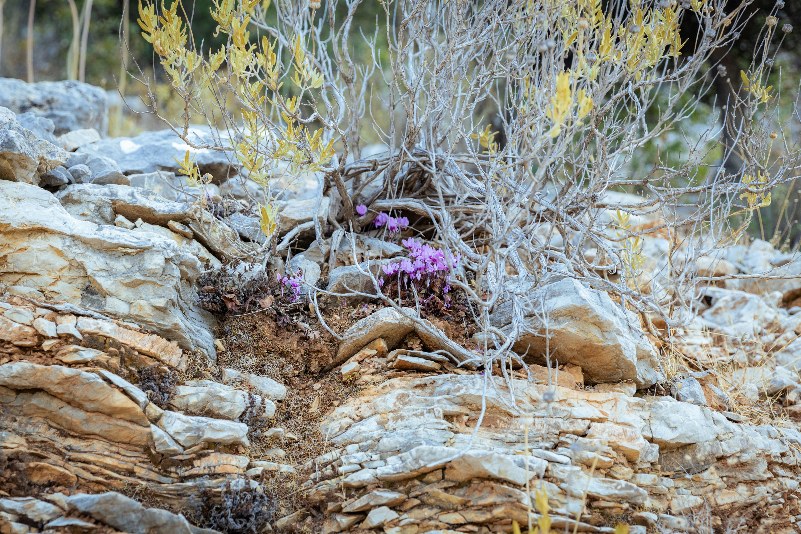 Турция (осень 2023). Фотограф Виноградов Константин