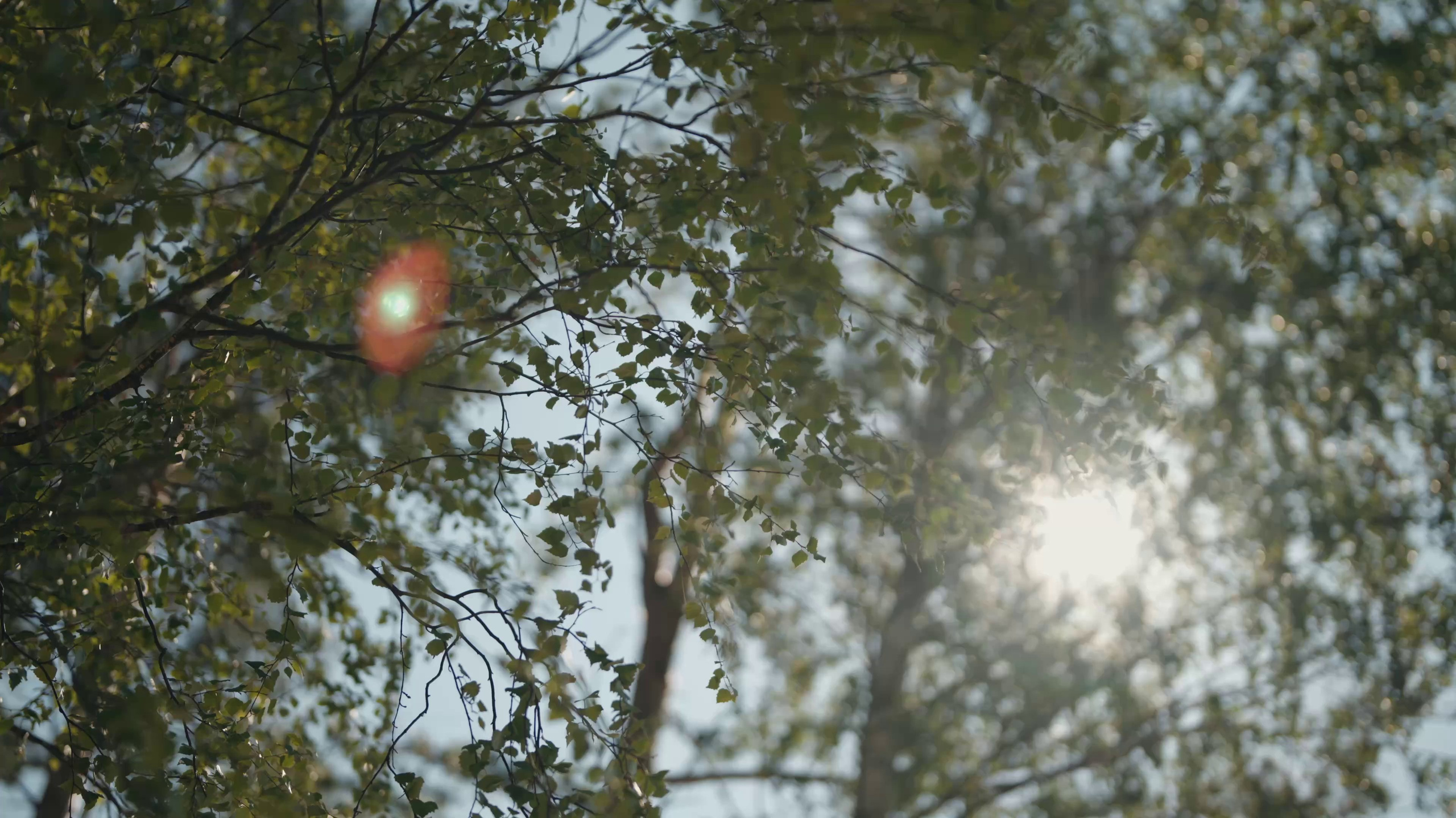 Вова Вершинин - видеограф в Нижнем Новгороде, Москве и всей России