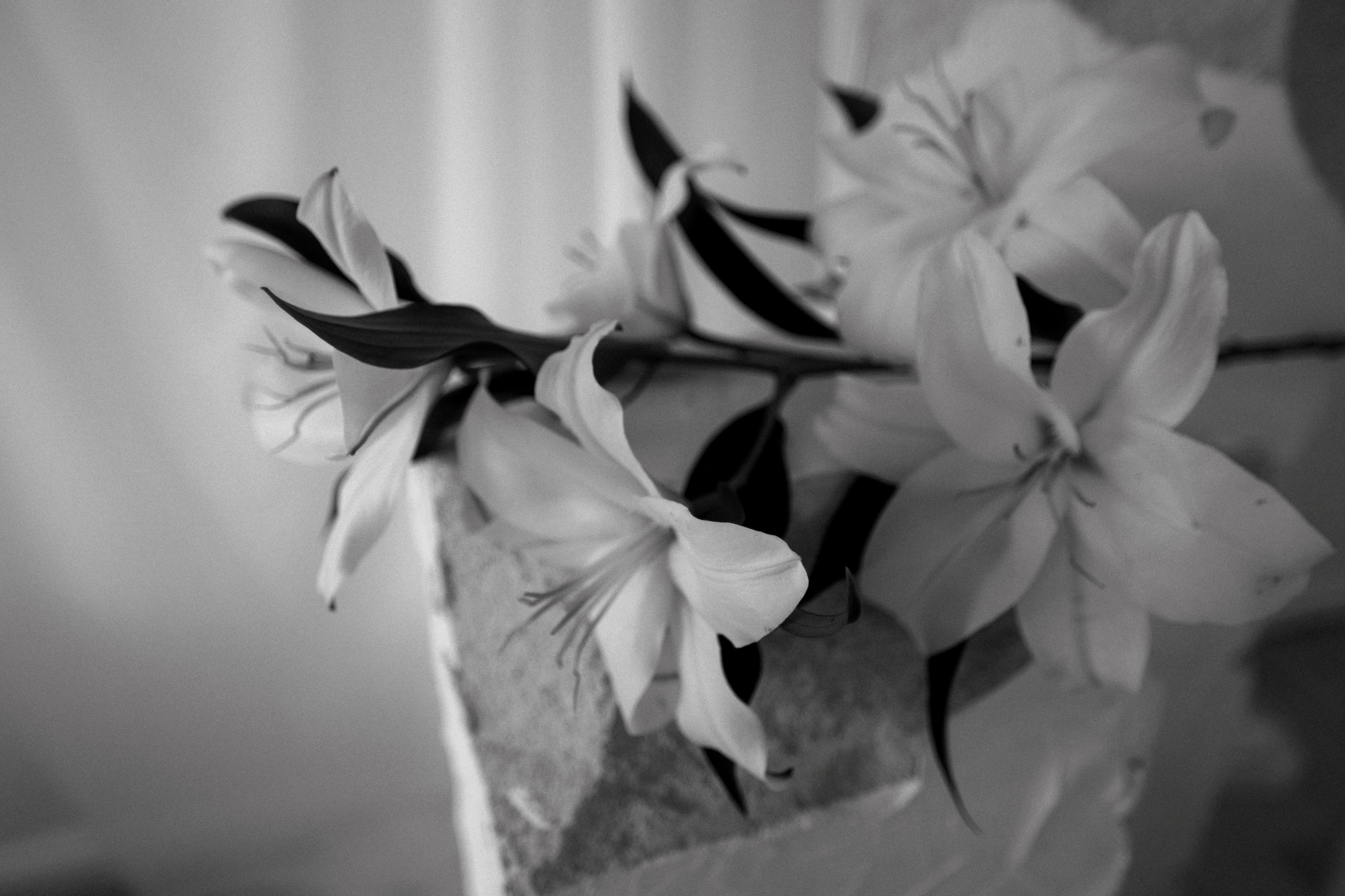 Услуги. Фотограф Анна Лейман. Севастополь