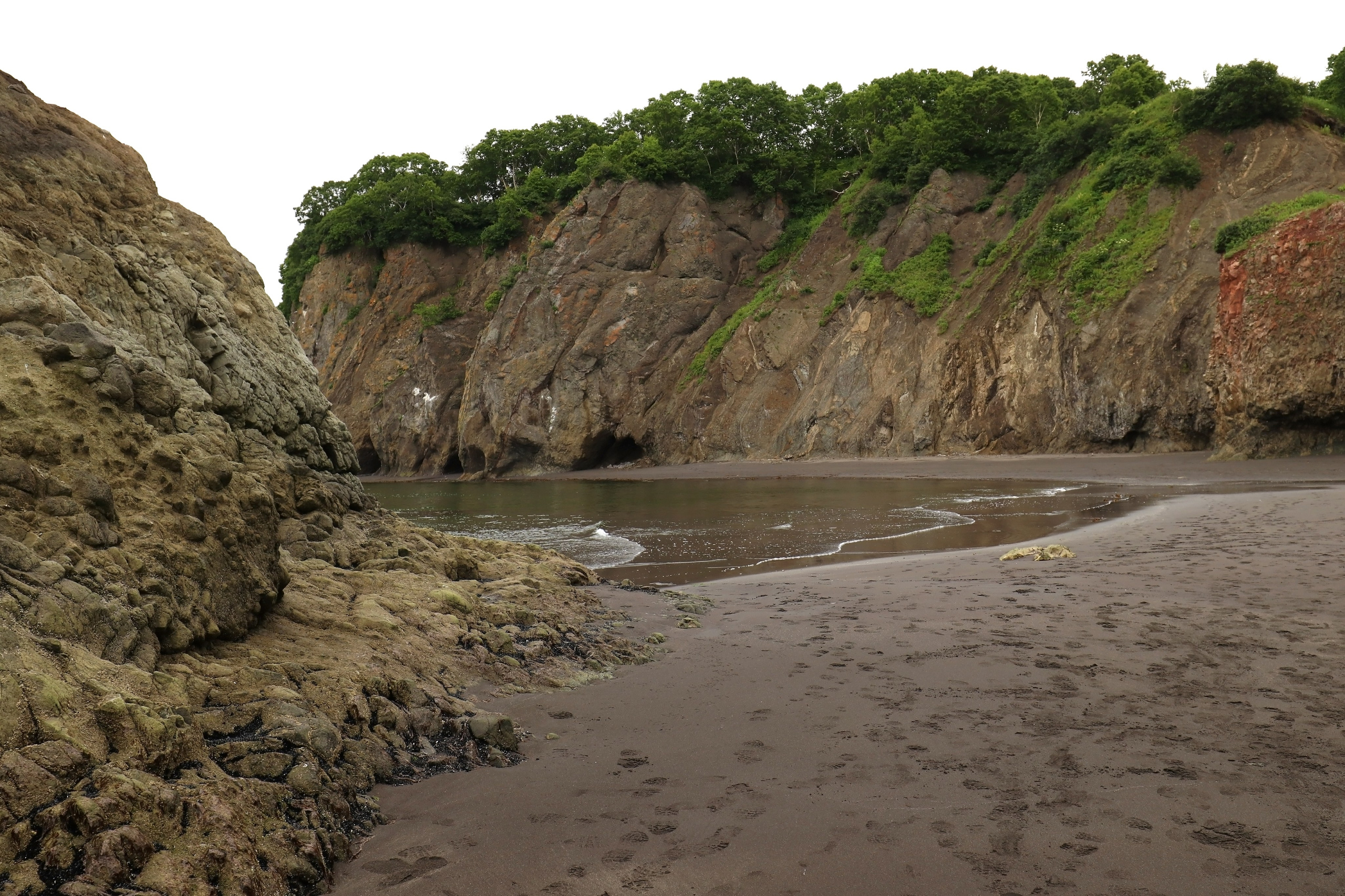 Камчатка и о. Парамушир. Июль 2024. Путешественник-фотограф из Санкт-Петербурга Татьяна Свистулина