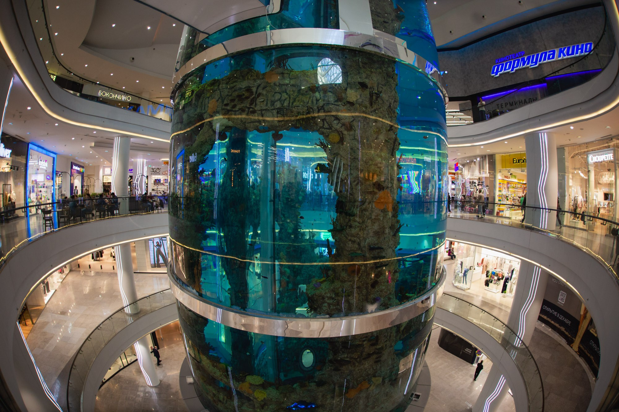 Сказка в ТЦ Океания. Репортажный и концертный фотограф в Москве Анастасия Осень