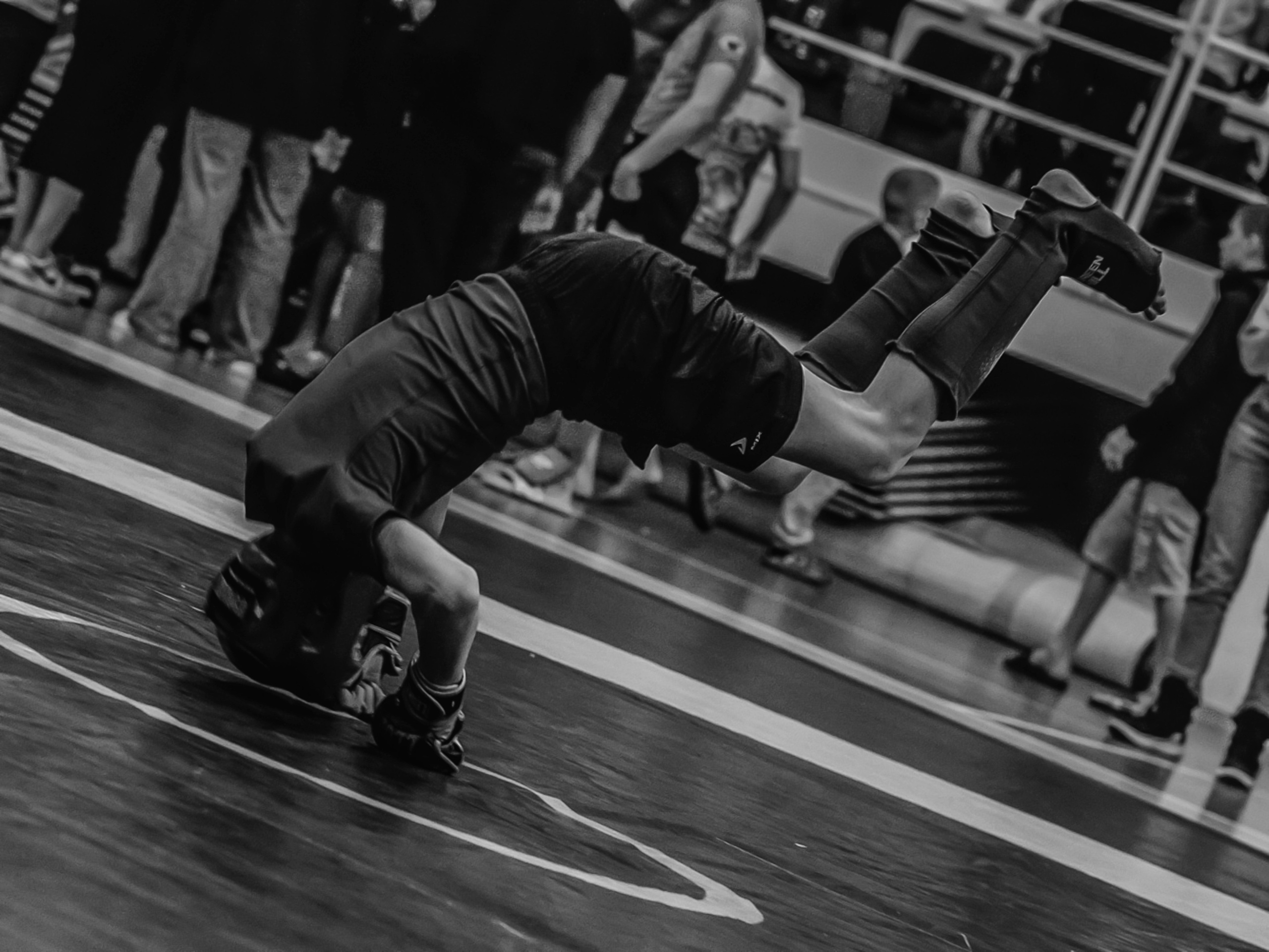 Кубок России по спортивной борьбе панкратион `23. Портретный фотограф в Москве Дарья Цезария