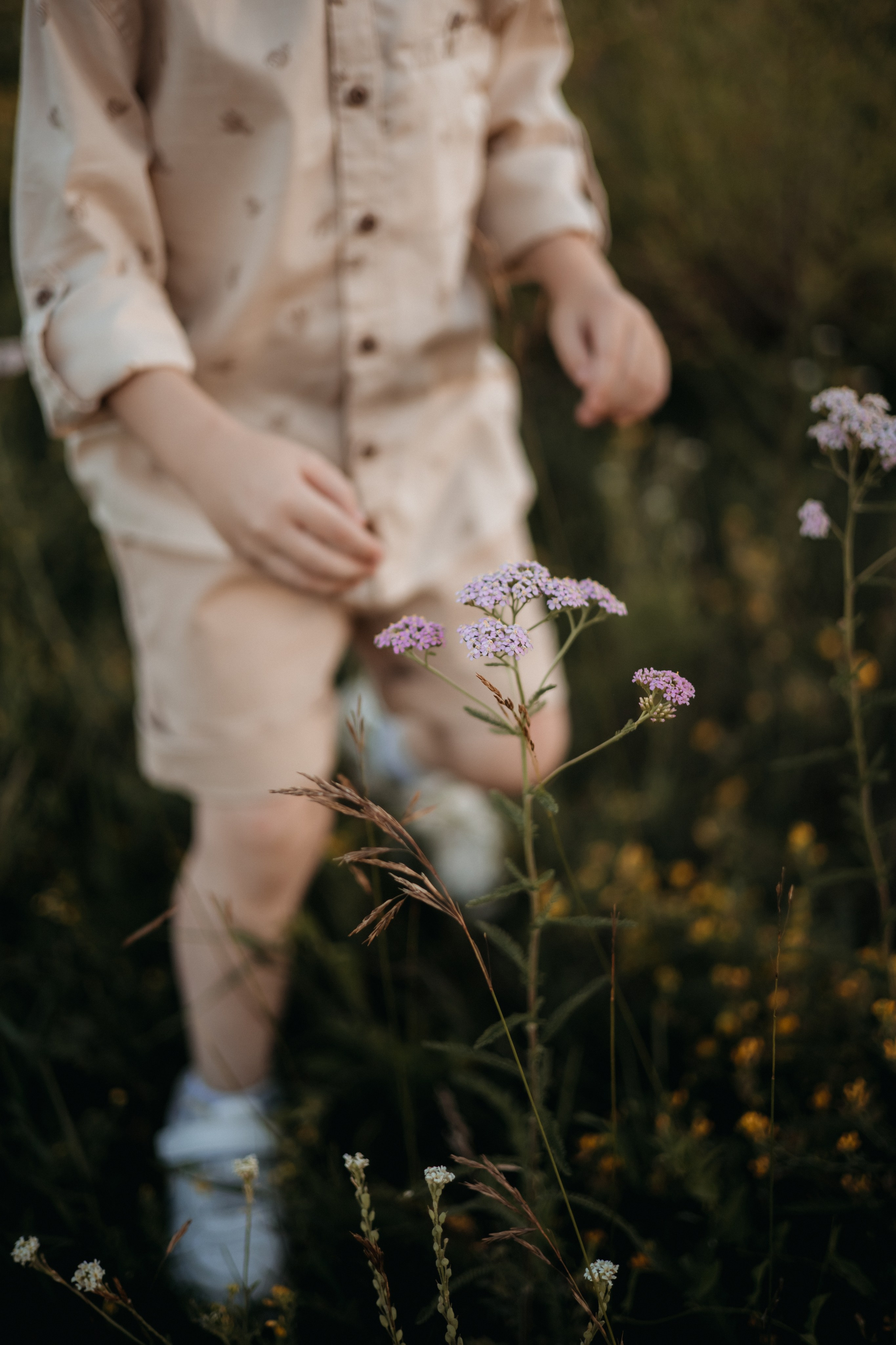 Семейные. Главная