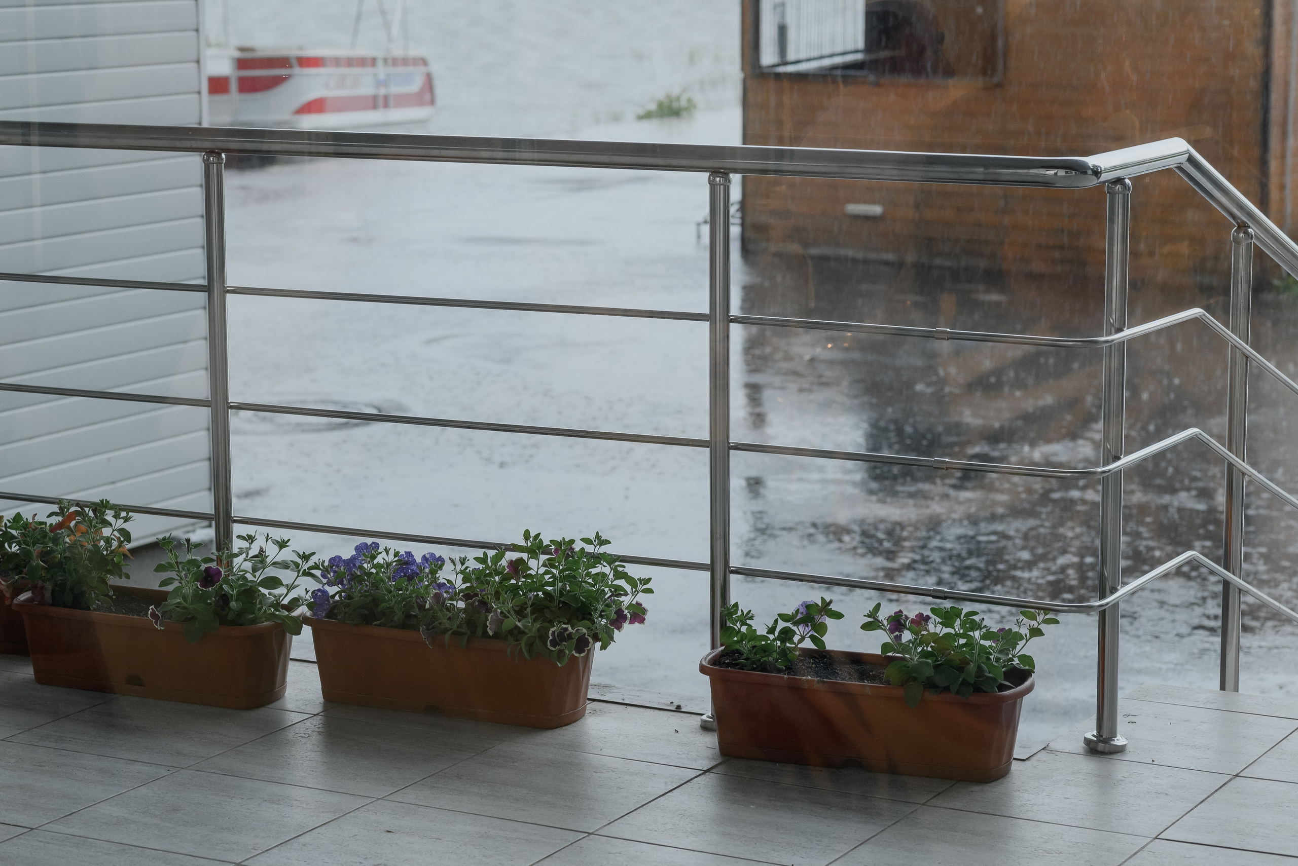 Айгуль и Фанис. Фотограф Филякин Константин