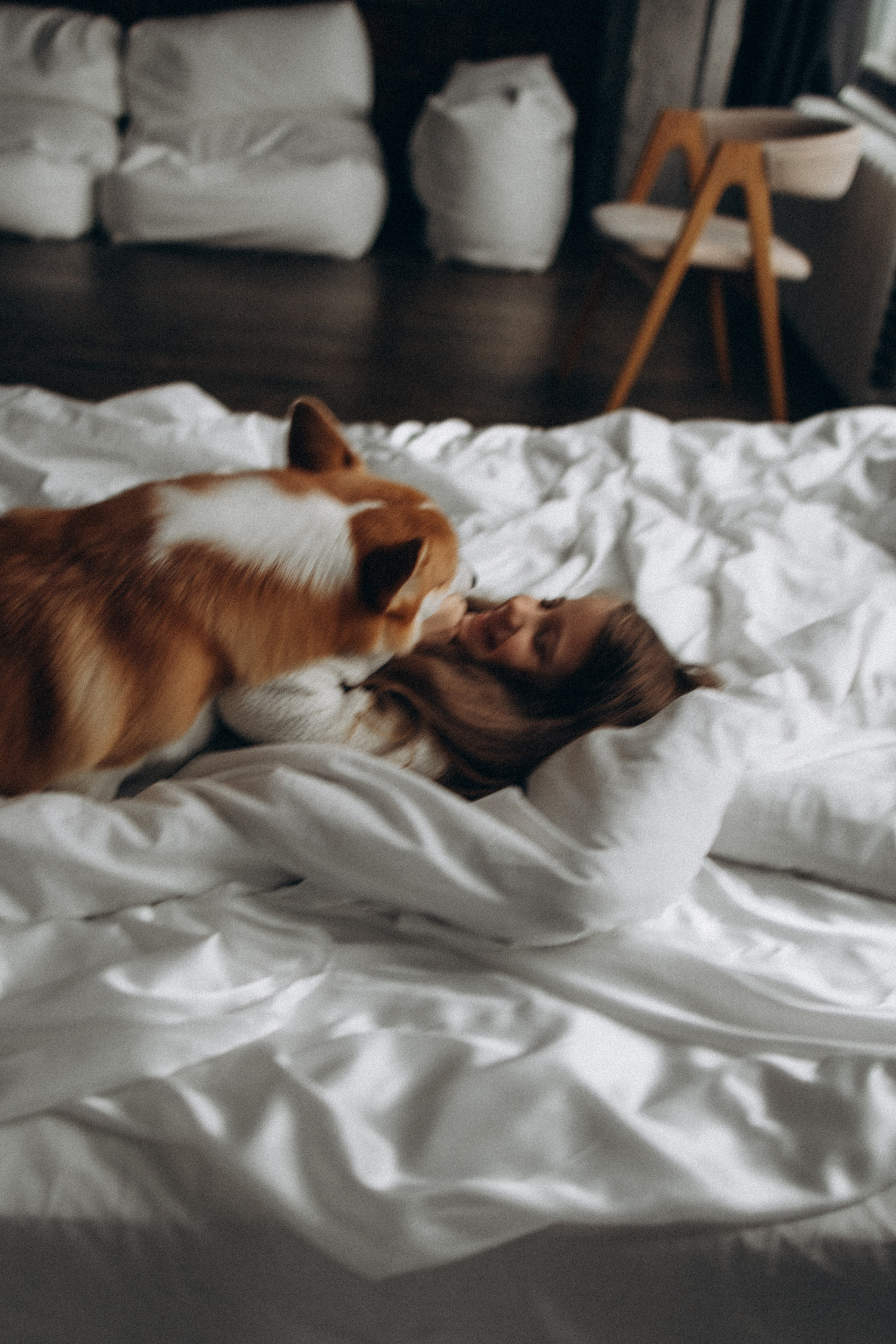 Зевс и его семья. Фотораф — анималист Мария Шистка