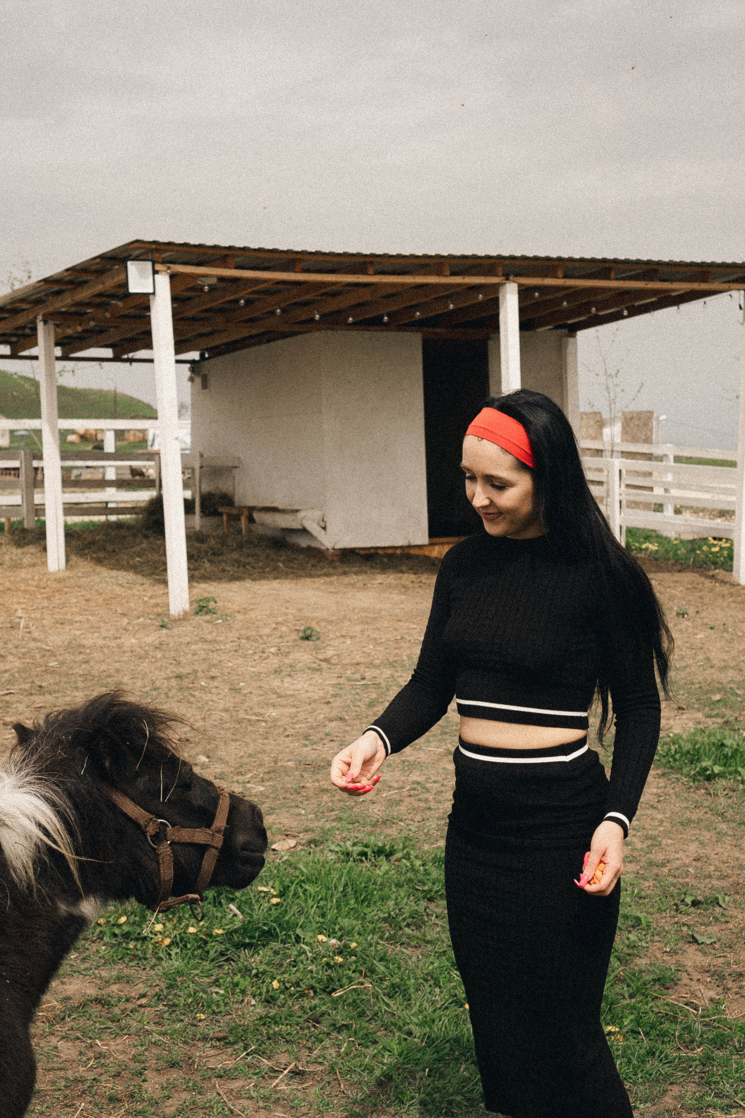 Ферма Альпак. Профессиональный фотограф, Санкт-Петербург — Виктория Богомолова