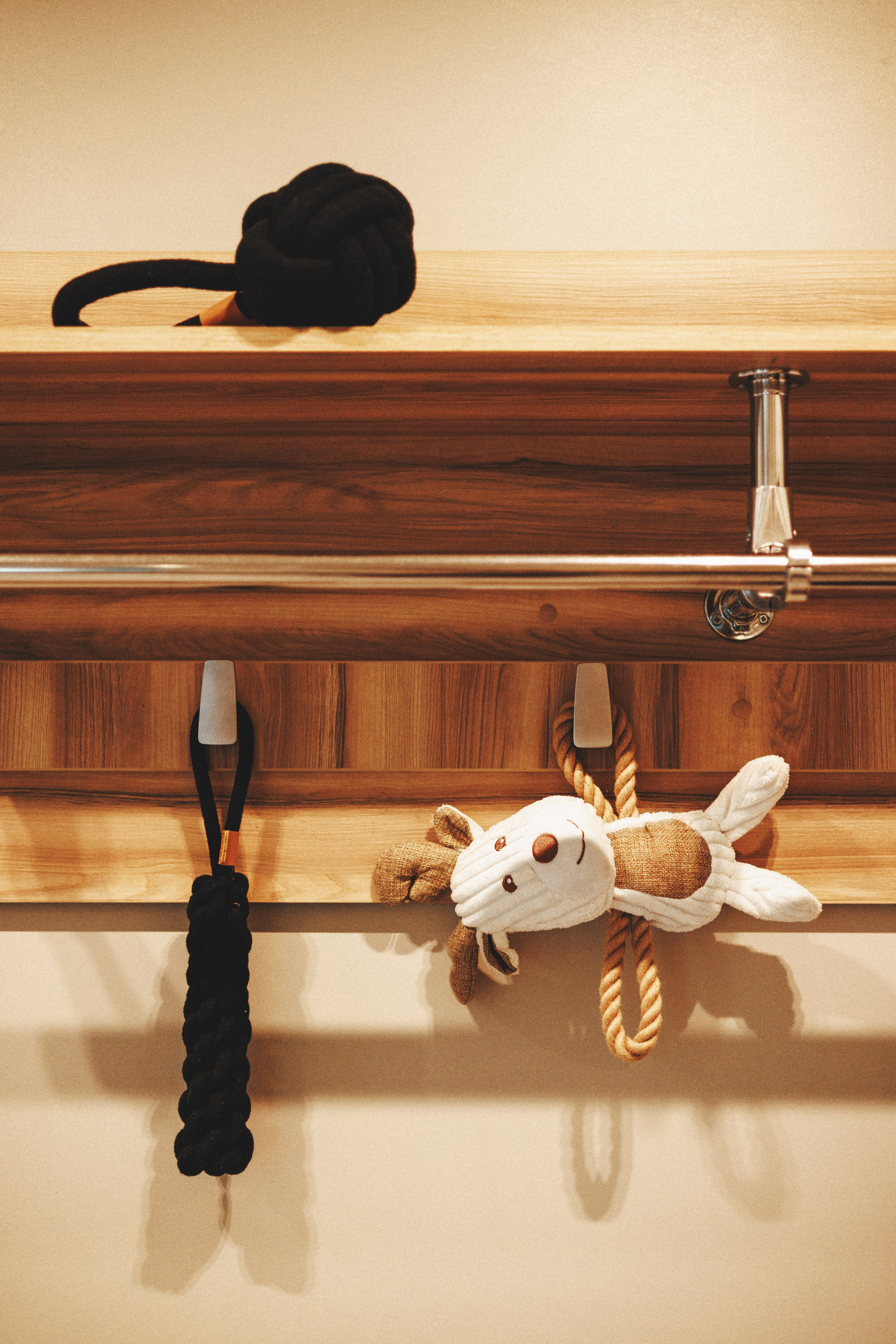 M-Pets. Фотограф анималист Осипчикова Мария