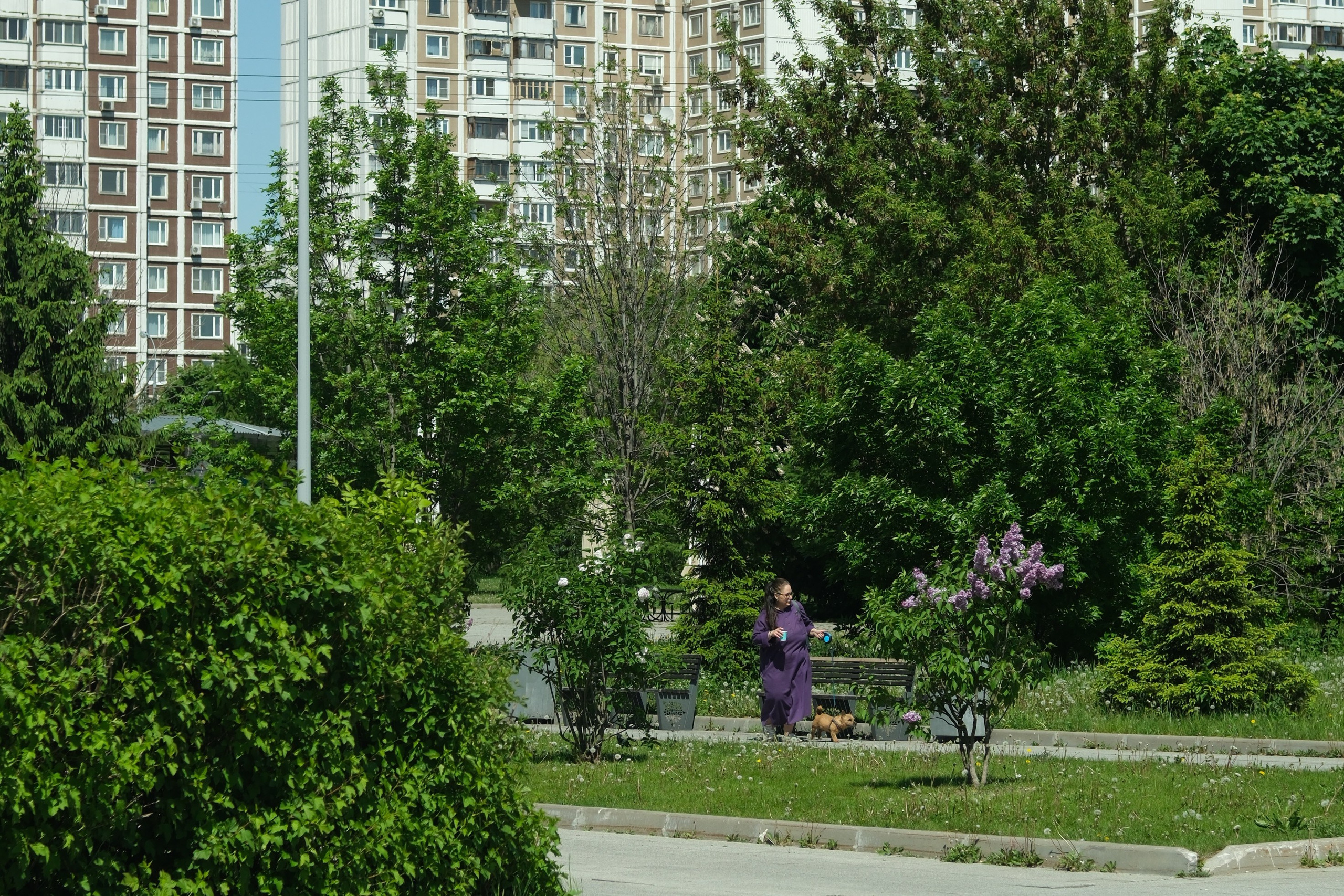 Парк 850 лет Москве. Улица, люди, жизнь…