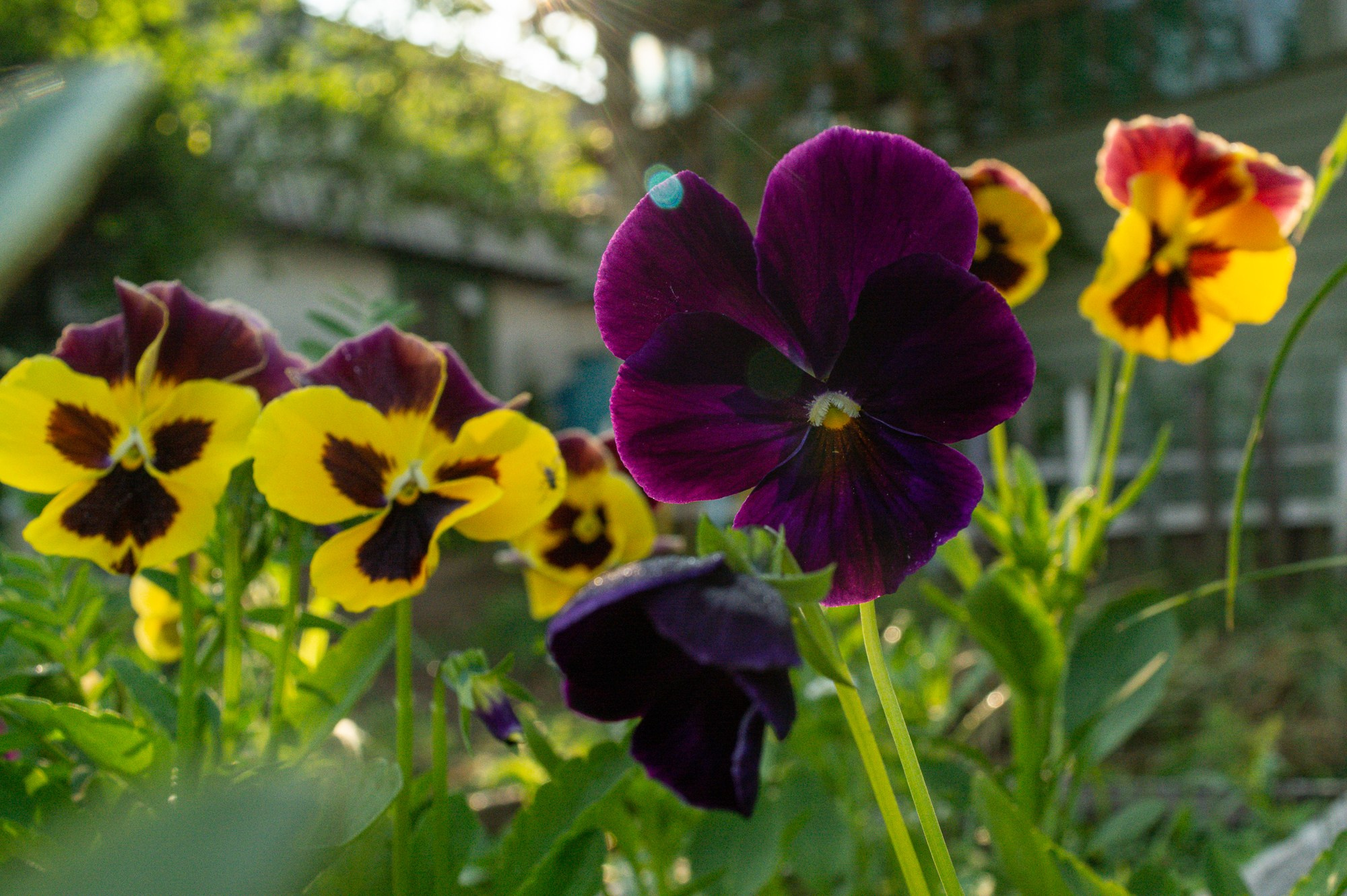 Разное. Репортажный фотограф г. Чита