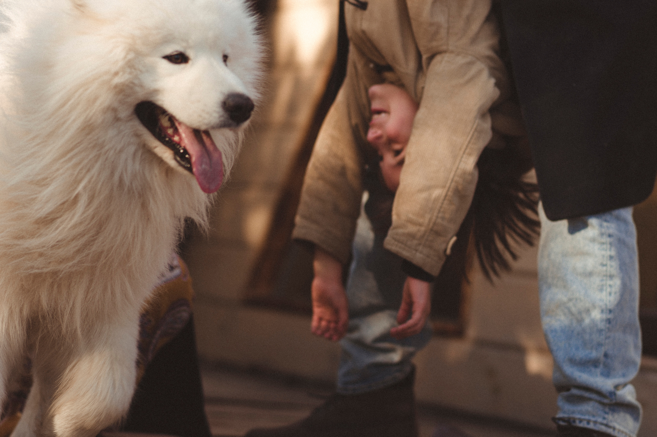 Фотограф Катерина Тюрина. Саратов