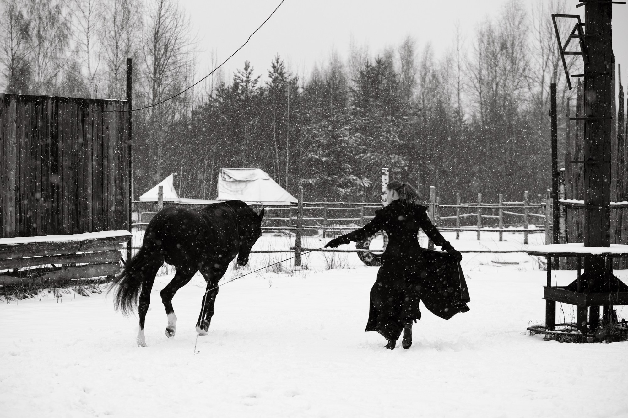 Портрет, лошадь, фото с лошадью, фото лошади, фотография лошади, съемка лошадей, фотограф лошадей, конная фотография, конный фотограф, конный фотограф в спб, съемки с лошадьми, фотограф спб, фотосессия с лошадьми, фото с лошадью, фотосессии с лошадьми спб, фотосессия на заливе, женская фотосессия, женский портрет, зимняя фотосессия, снег, зима, съемки зимой