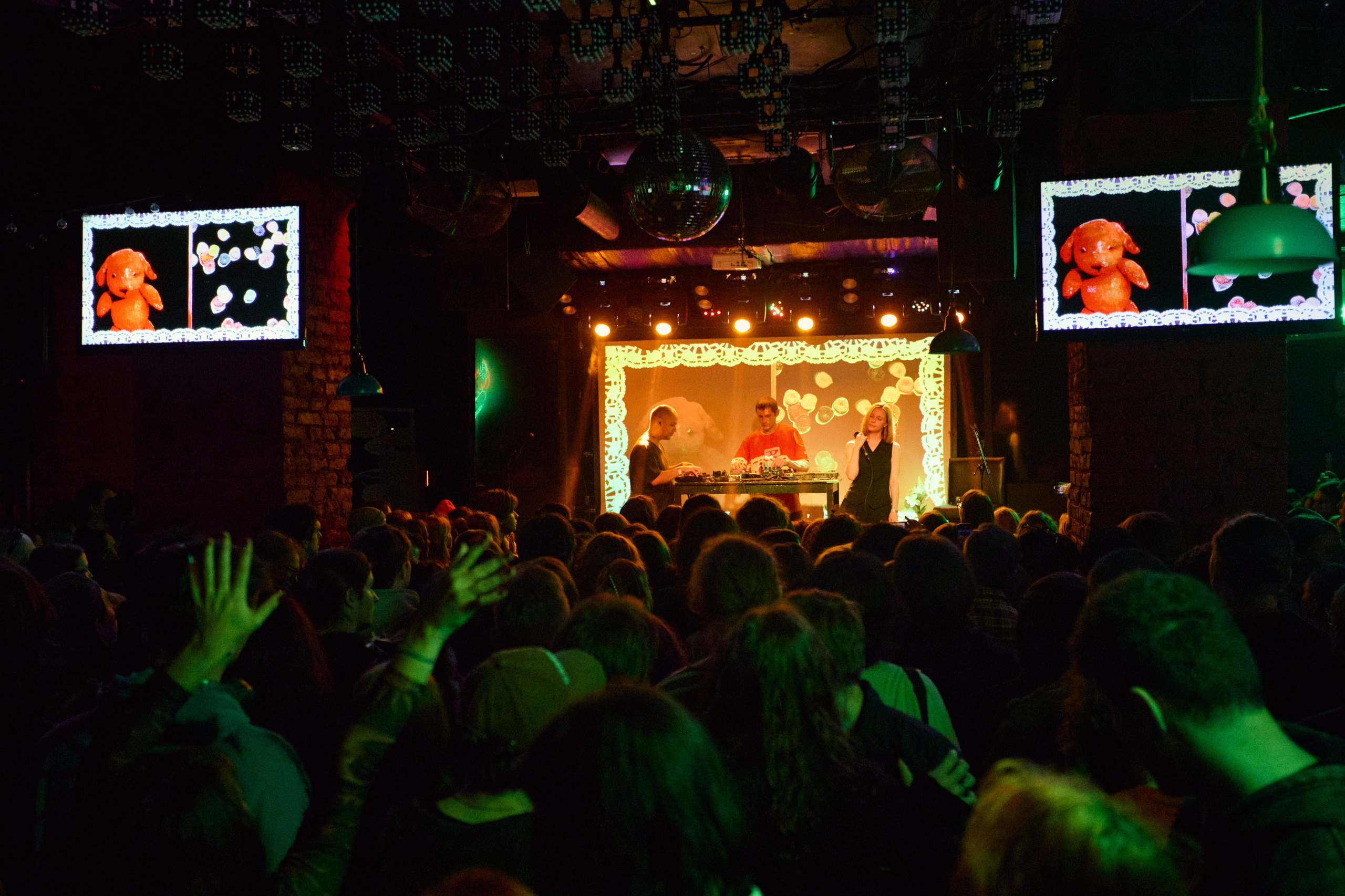 Порез на собаке. Фотограф Юлия Маринина