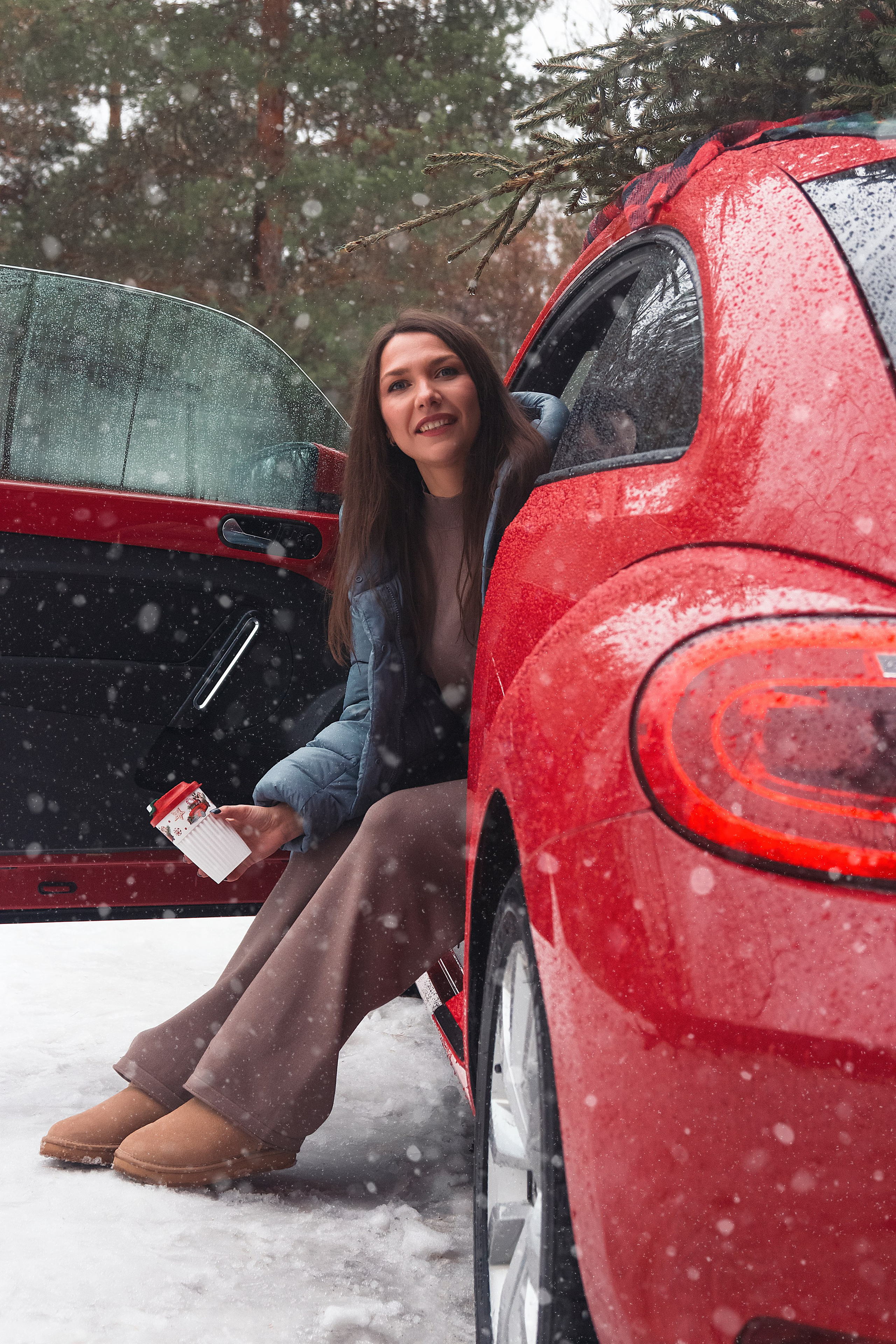 Новогодний красный жук. Фотограф Ольга Бобб Нижний Новгород