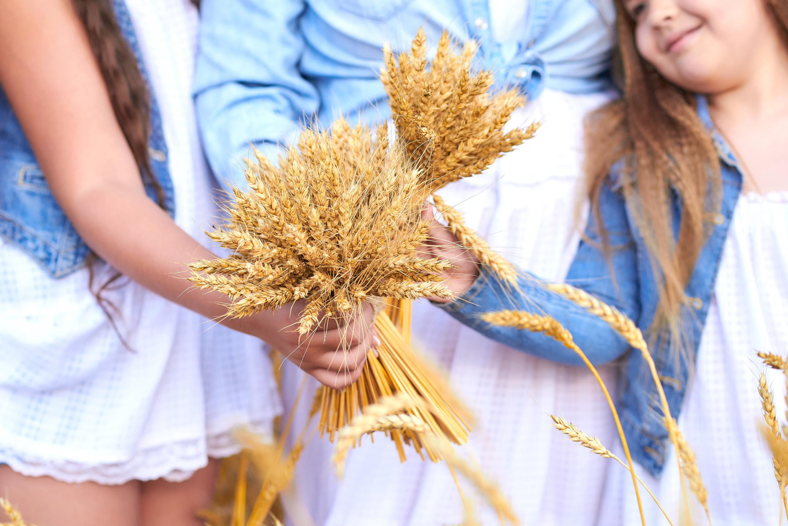 В поле. Семейный фотограф в Барнауле, Горный Алтай, Заринск, Алейск