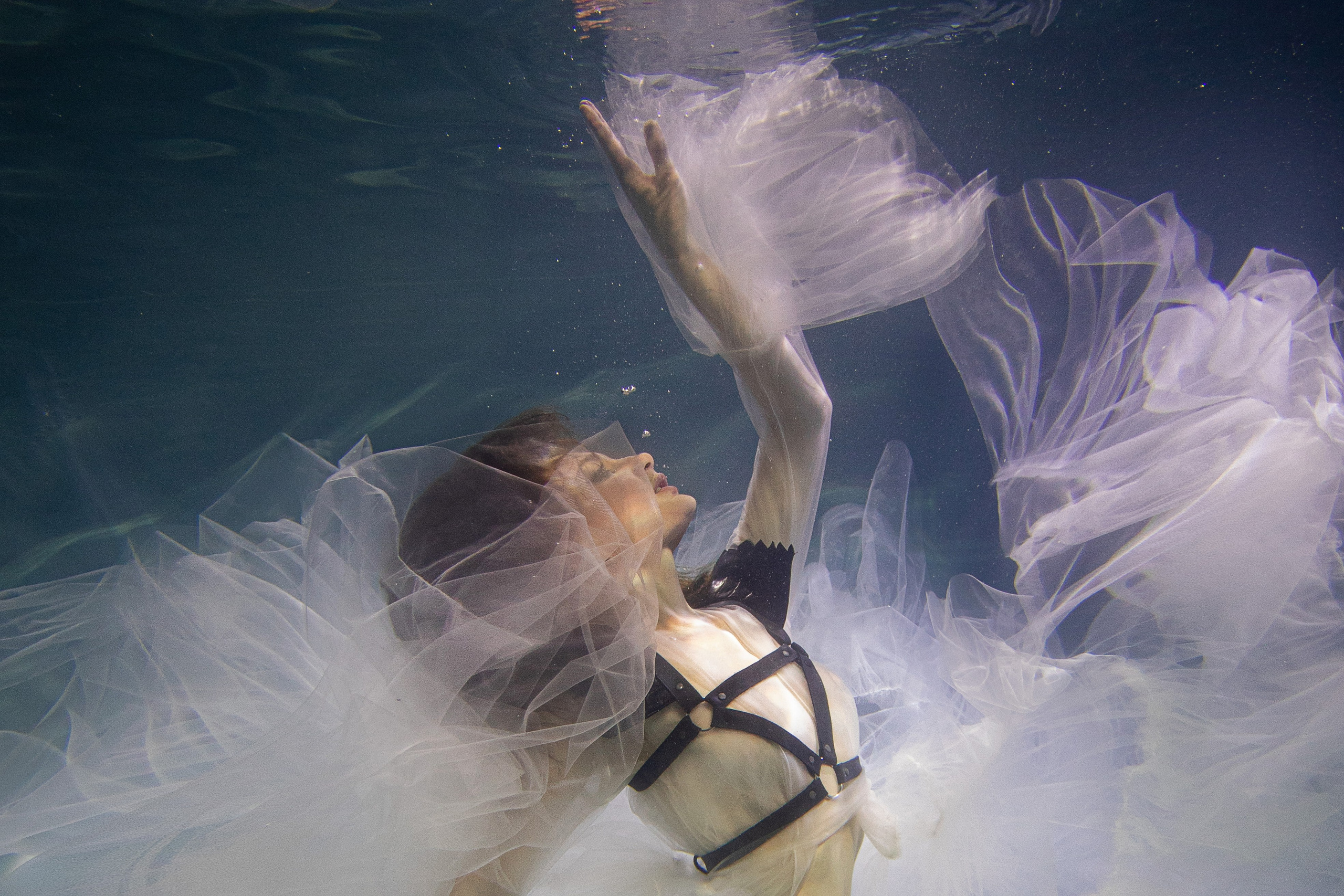 Аква общая. Марковкина КрисТина