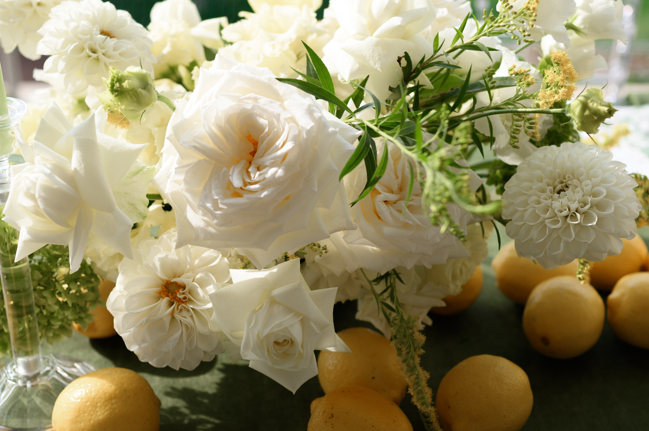 Каролина и Влад (Mriya Wine park). Свадебный фотограф. Крым и дальше!