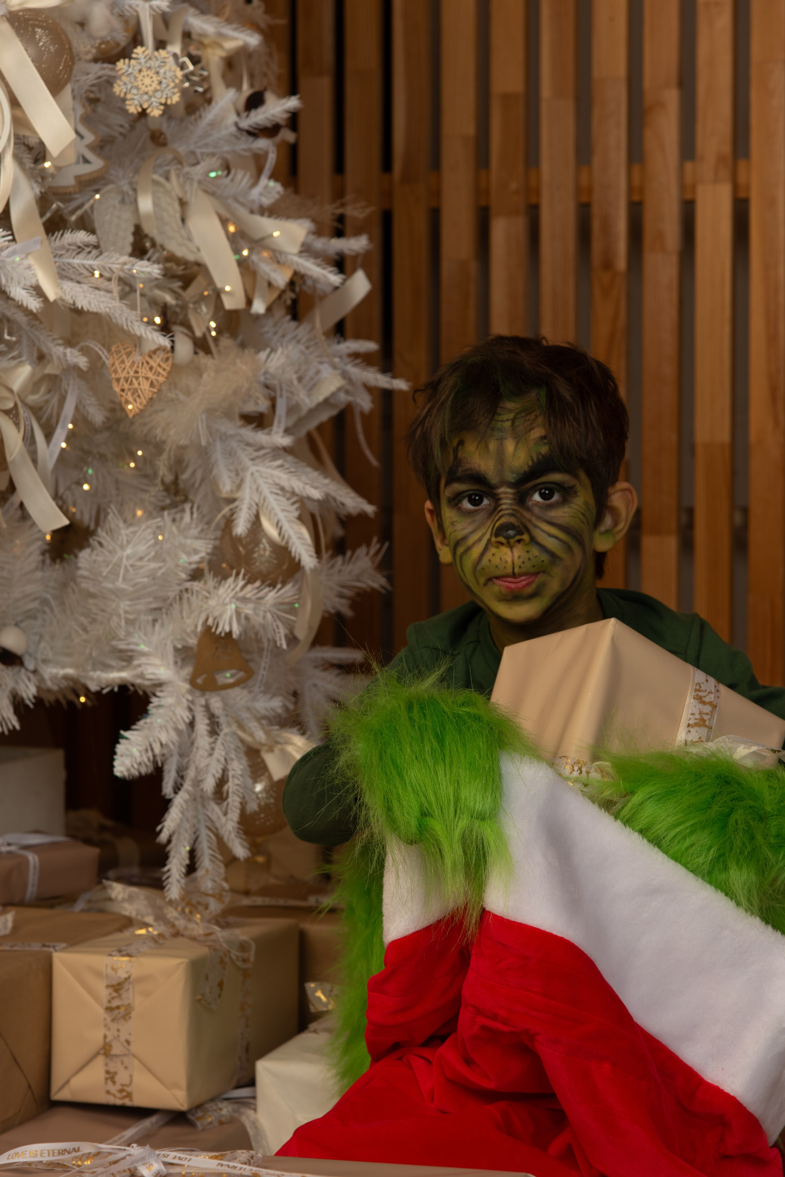 Новый Год. Гринч. Портретный Семейный Fine-Art фотограф в Санкт-Петербурге Криулина