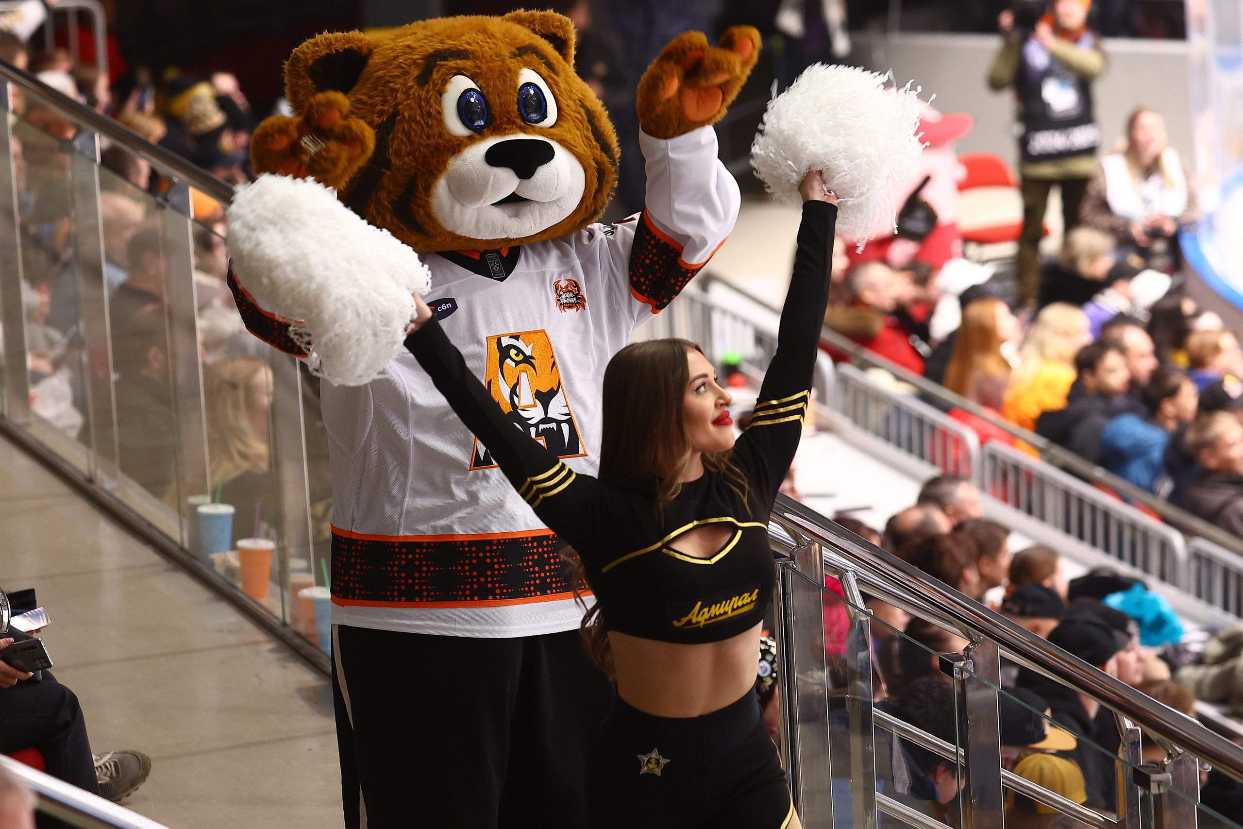 «Адмирал» сезон 2024/2025. Репортажный фотограф во Владивостоке