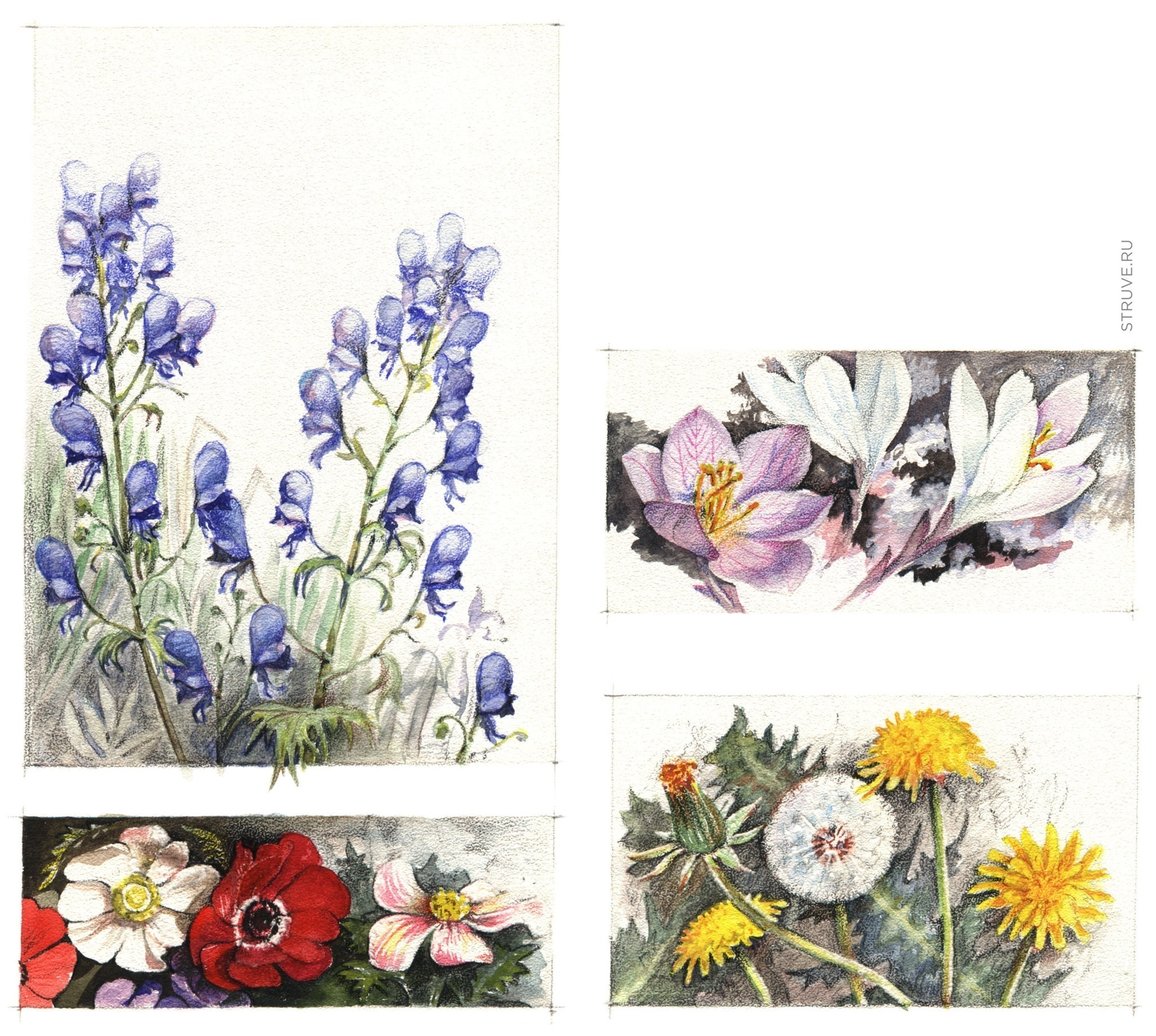 Остальное. Главная