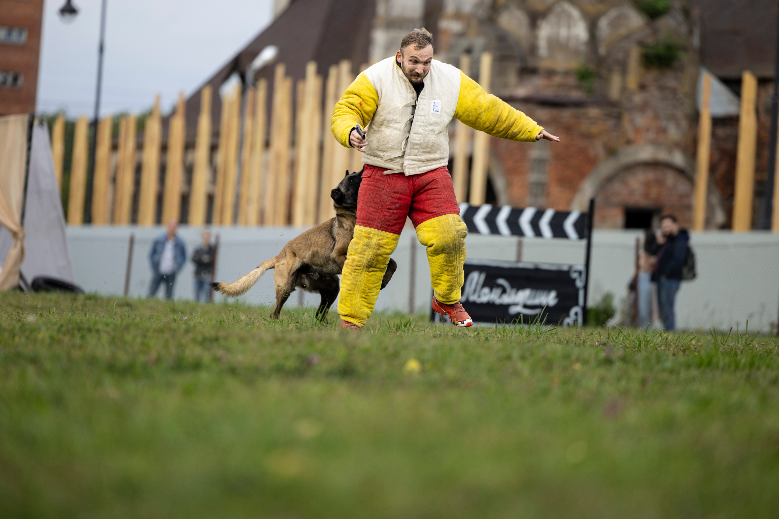 Испытания по Мондьорингу г. Пушкин. Фотограф-анималист Анна Маринич