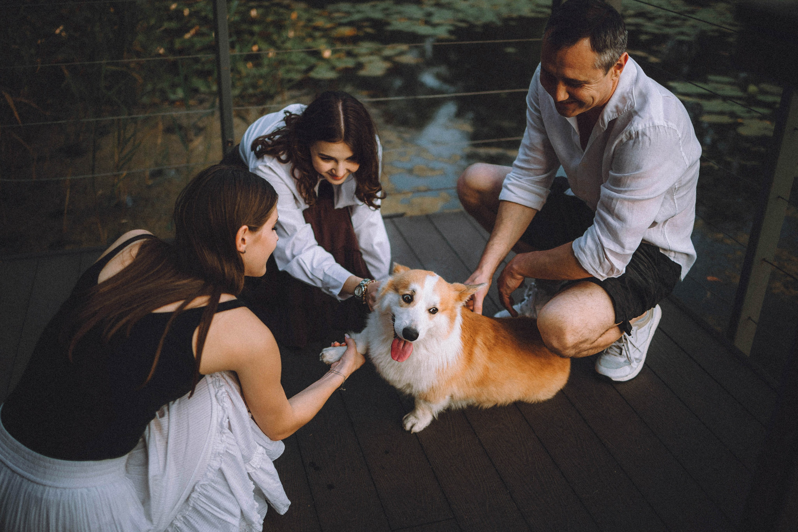 Арчи и его семья