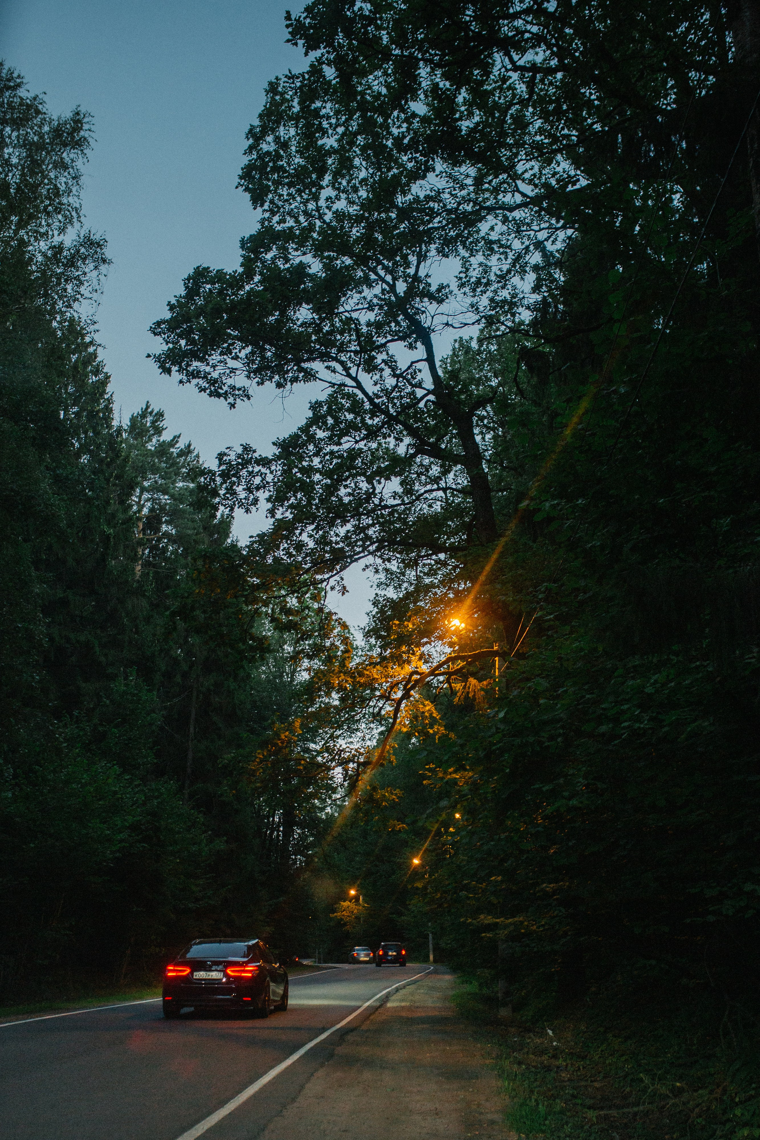 Дети кукурузы. Фотограф Оля Батист