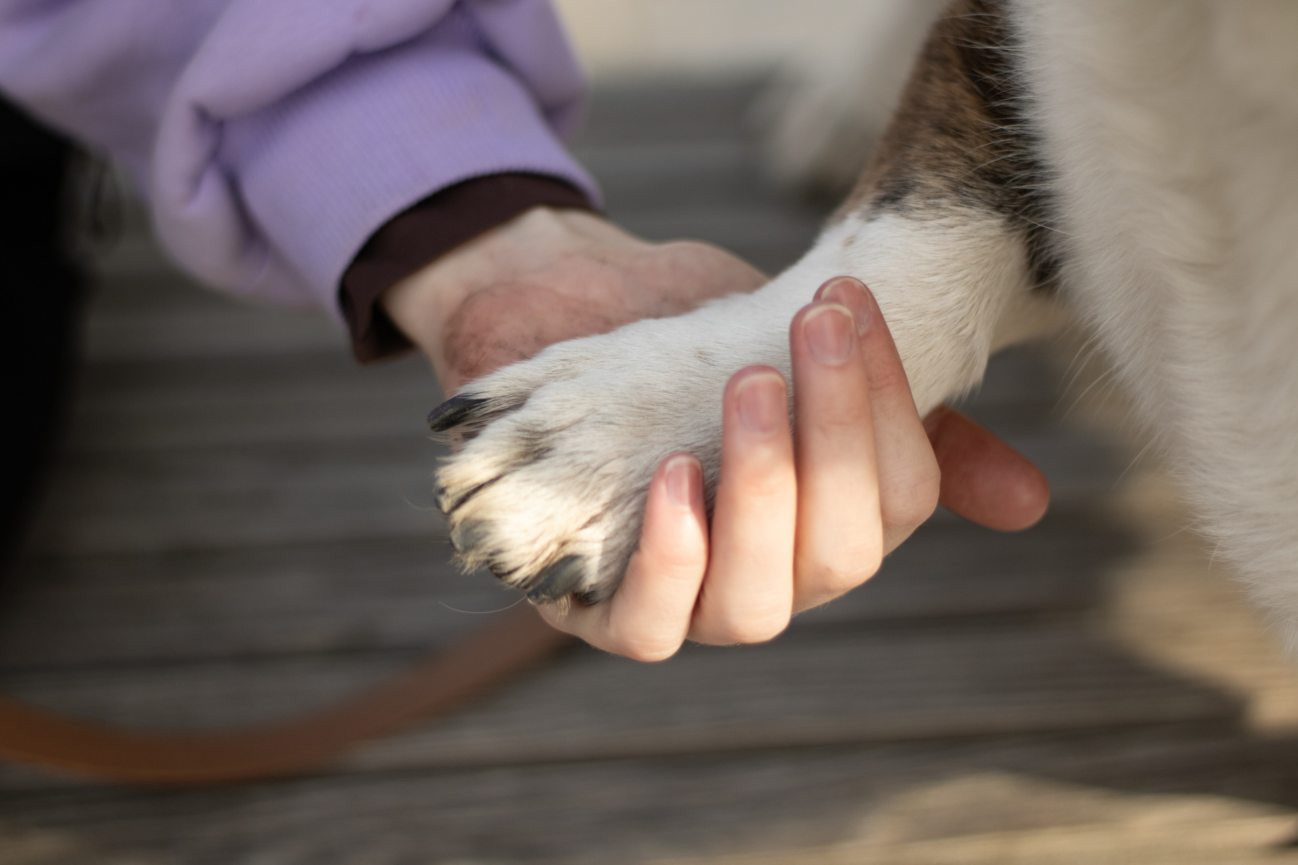 Юлия и Тэя. Катя Попова|ЛайфСтайл фотограф