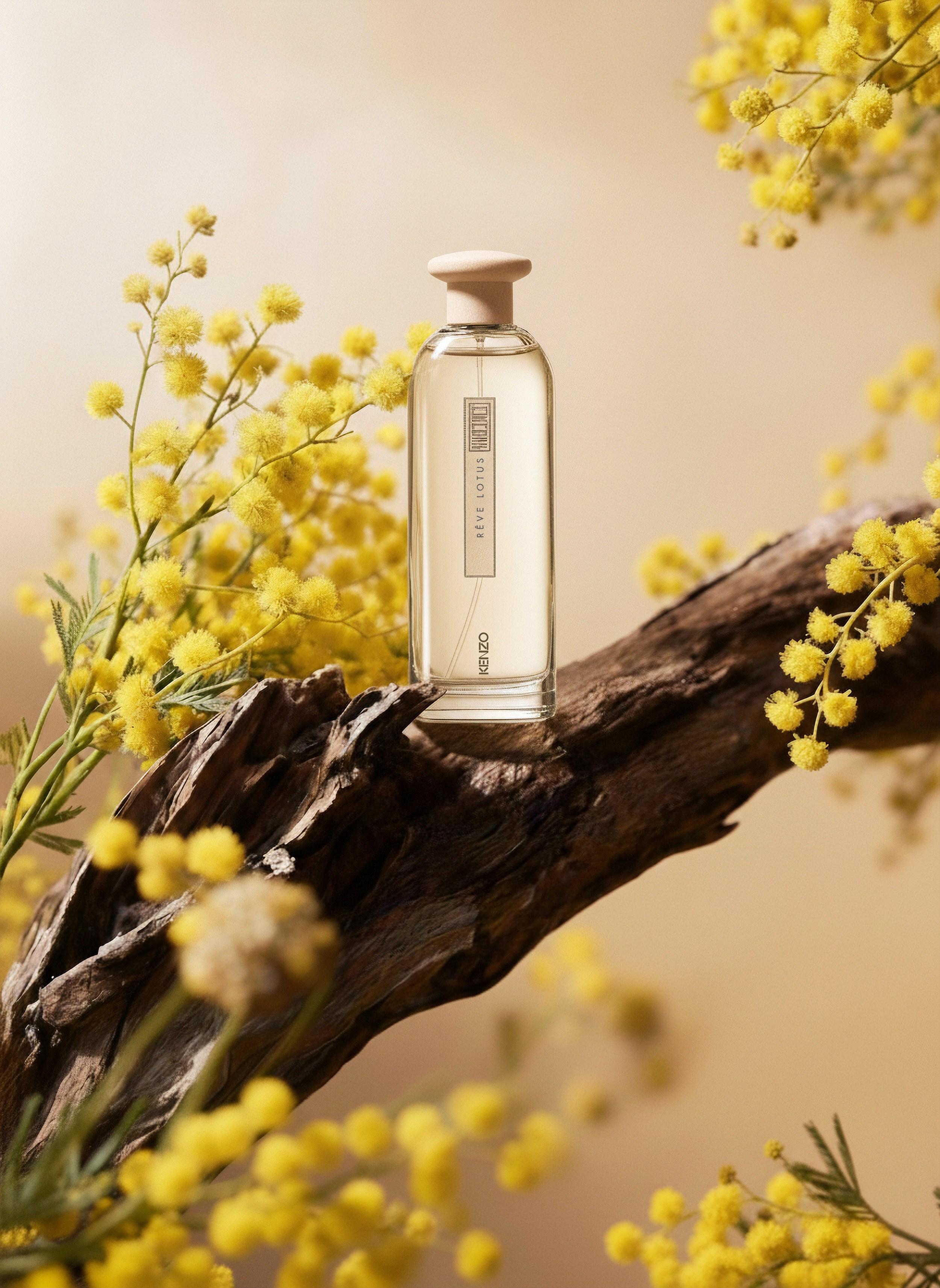 Предметная съёмка для сайтов и маркетплейсов. Регина Зебра — предметный фотограф Москва Подольск | Съёмка для маркетплейсов и соцсетей