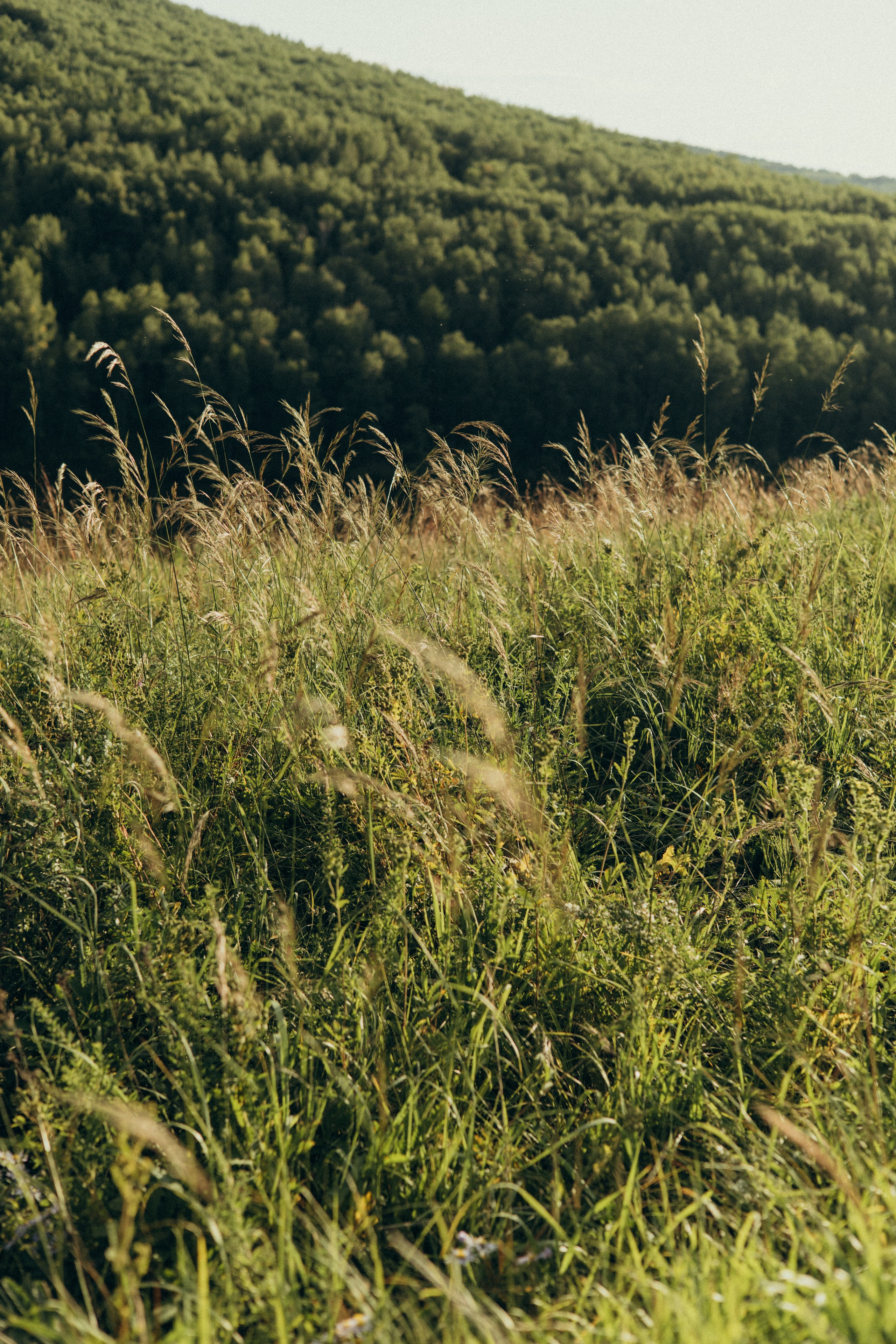Когда столько жизни в одном дне…. Фотограф в г. Чита