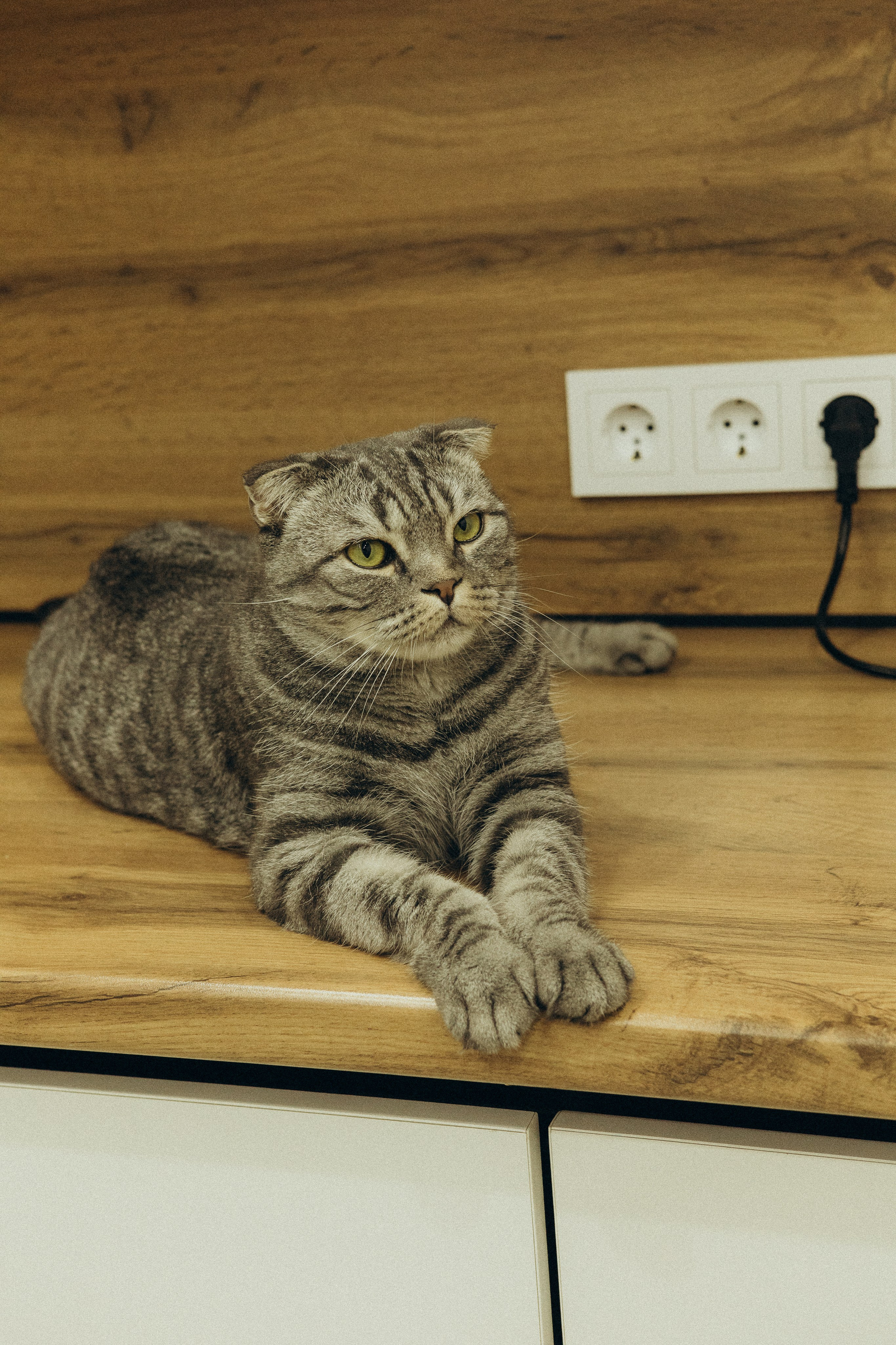 Дом там, где любовь♡. Фотограф в г. Чита