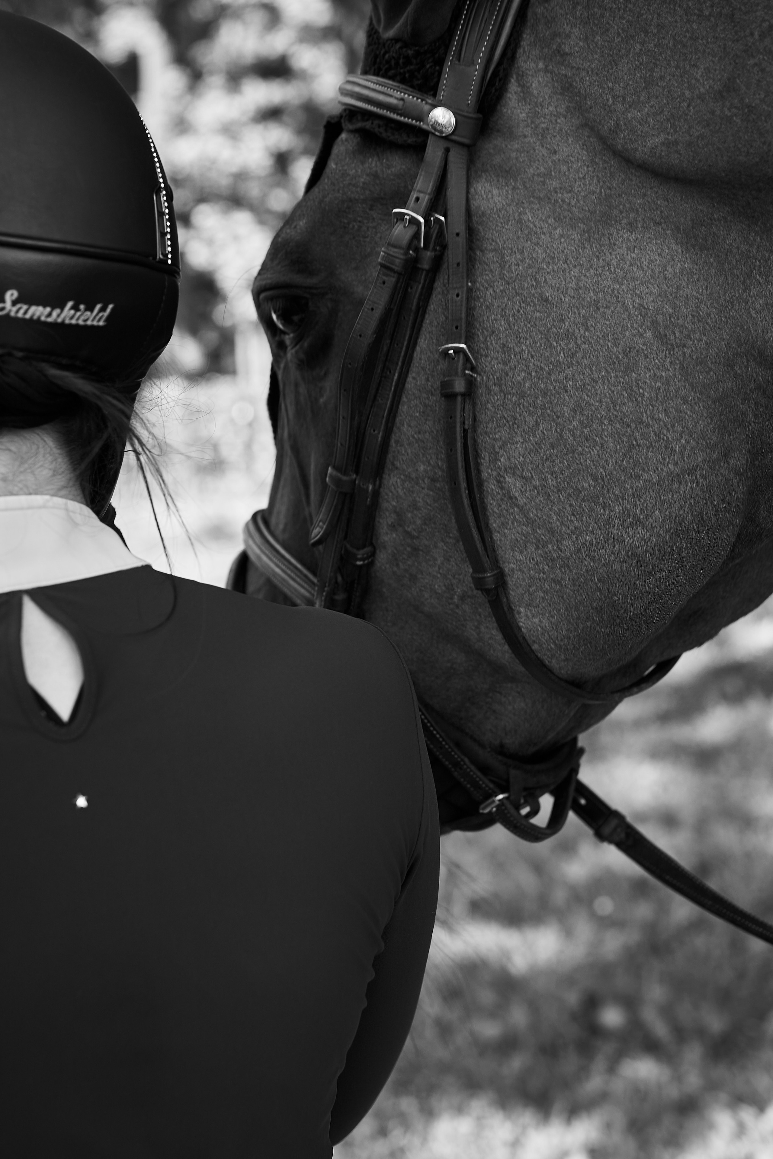 Алиса и Кон Челла В. Фотосессии с лошадьми в Москве, Новосибирске