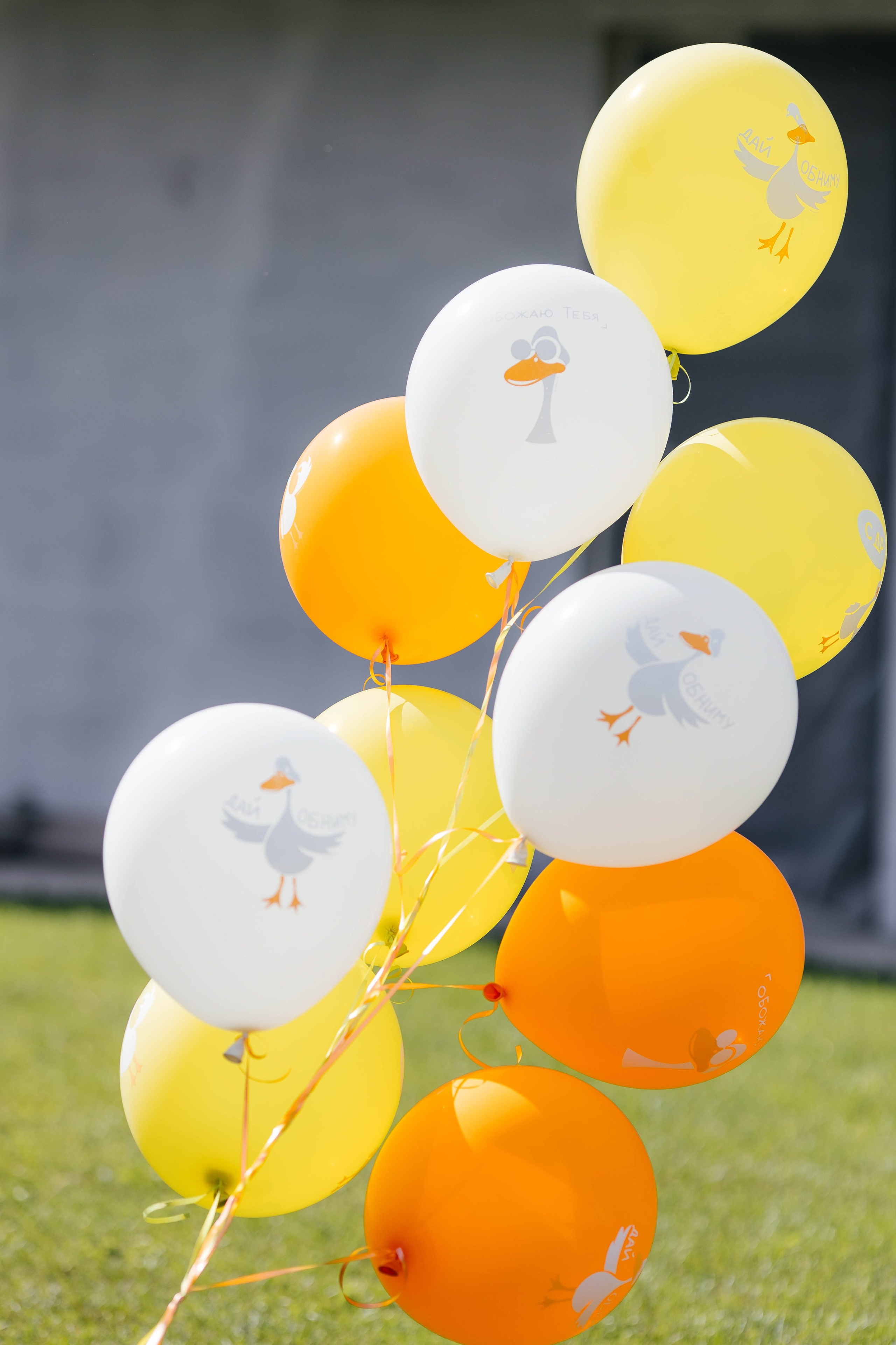 ДР Лены. Профессиональный фотограф Тольятти | Самара | Москва | Сочи