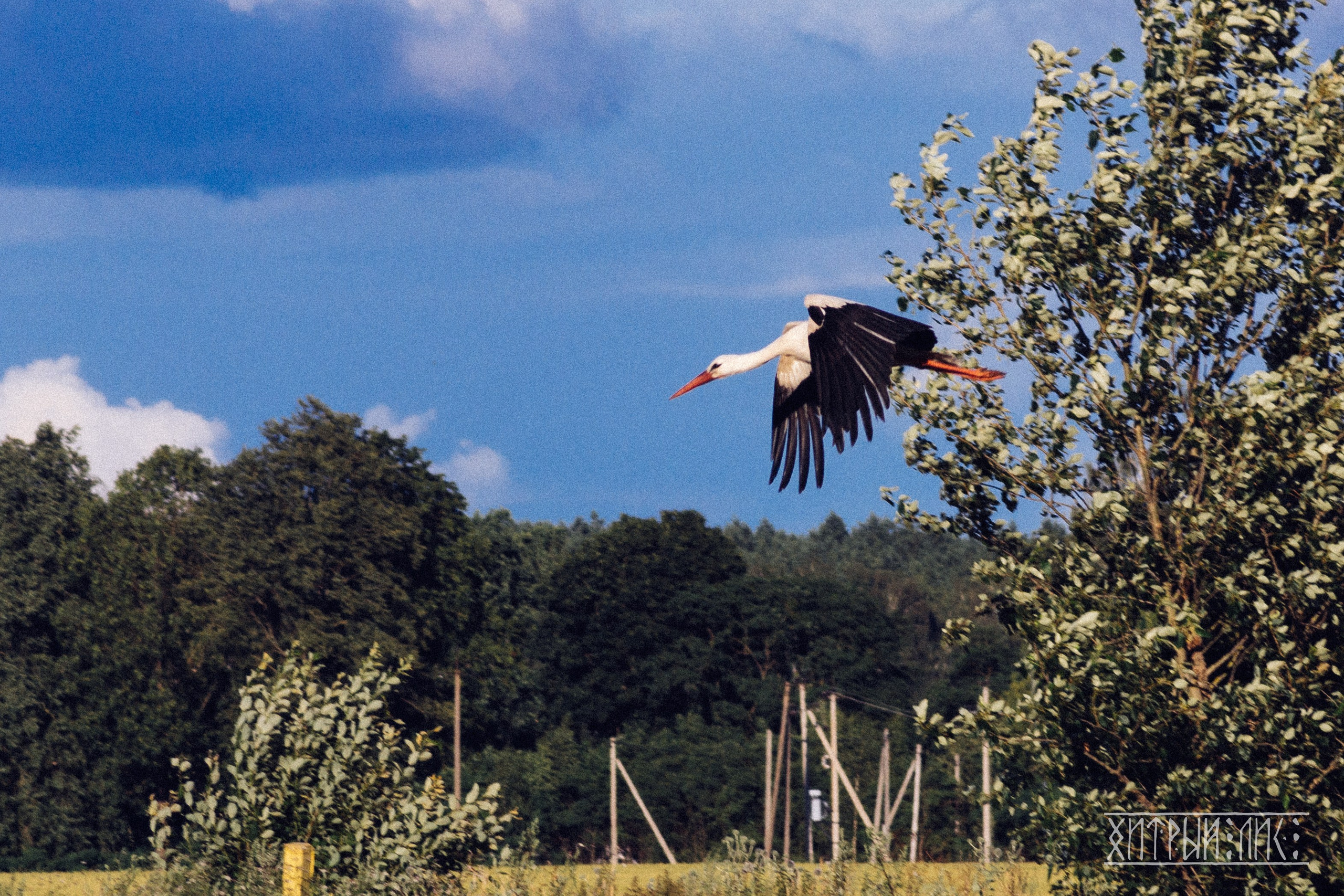 Беларусь. Фотограф-путешественник Самойлов Максим «Sly Fox»