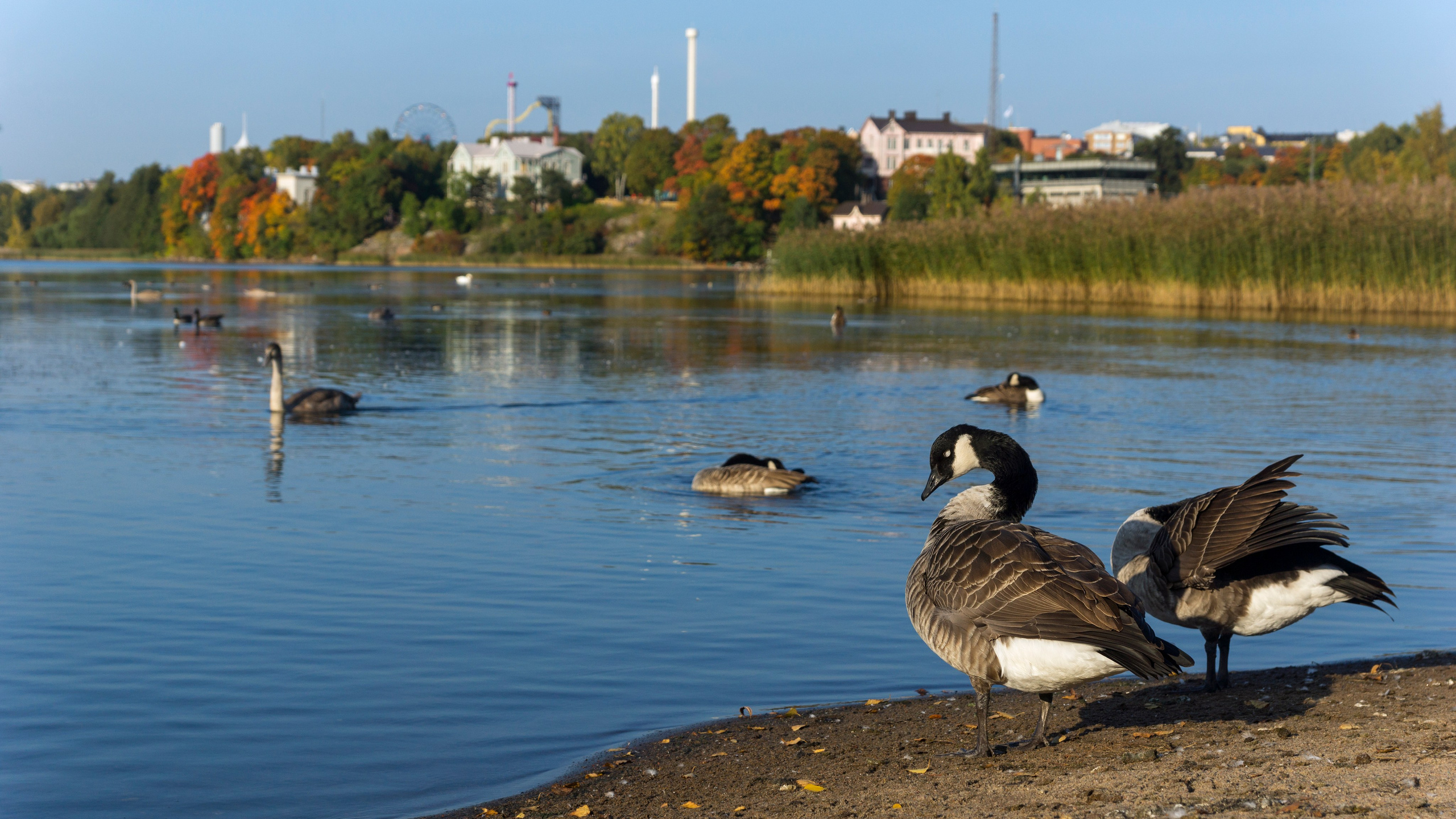 Хельсинки. Фотограф-путешественник Самойлов Максим «Sly Fox»