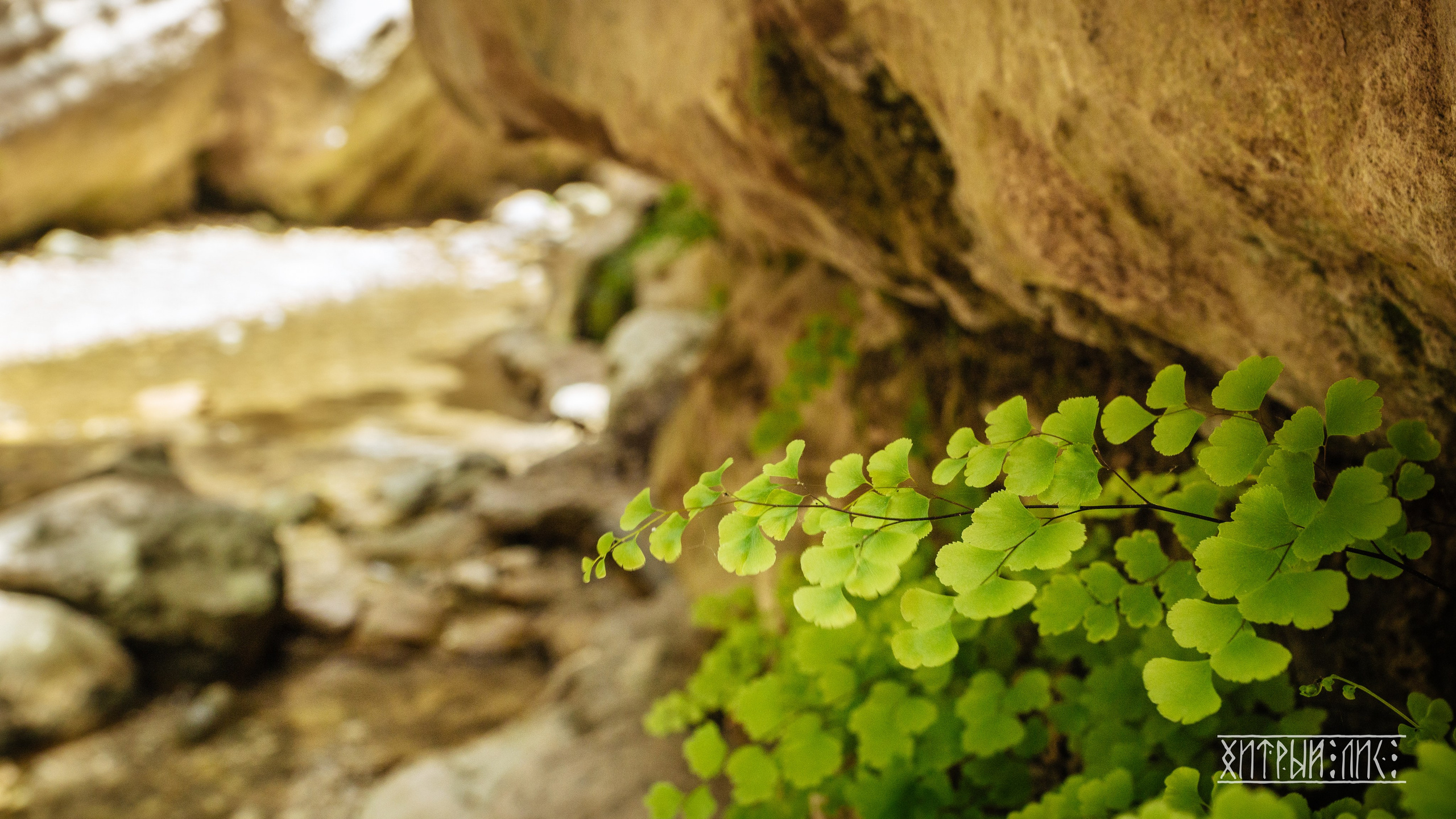 Кипр. Фотограф-путешественник Самойлов Максим «Sly Fox»
