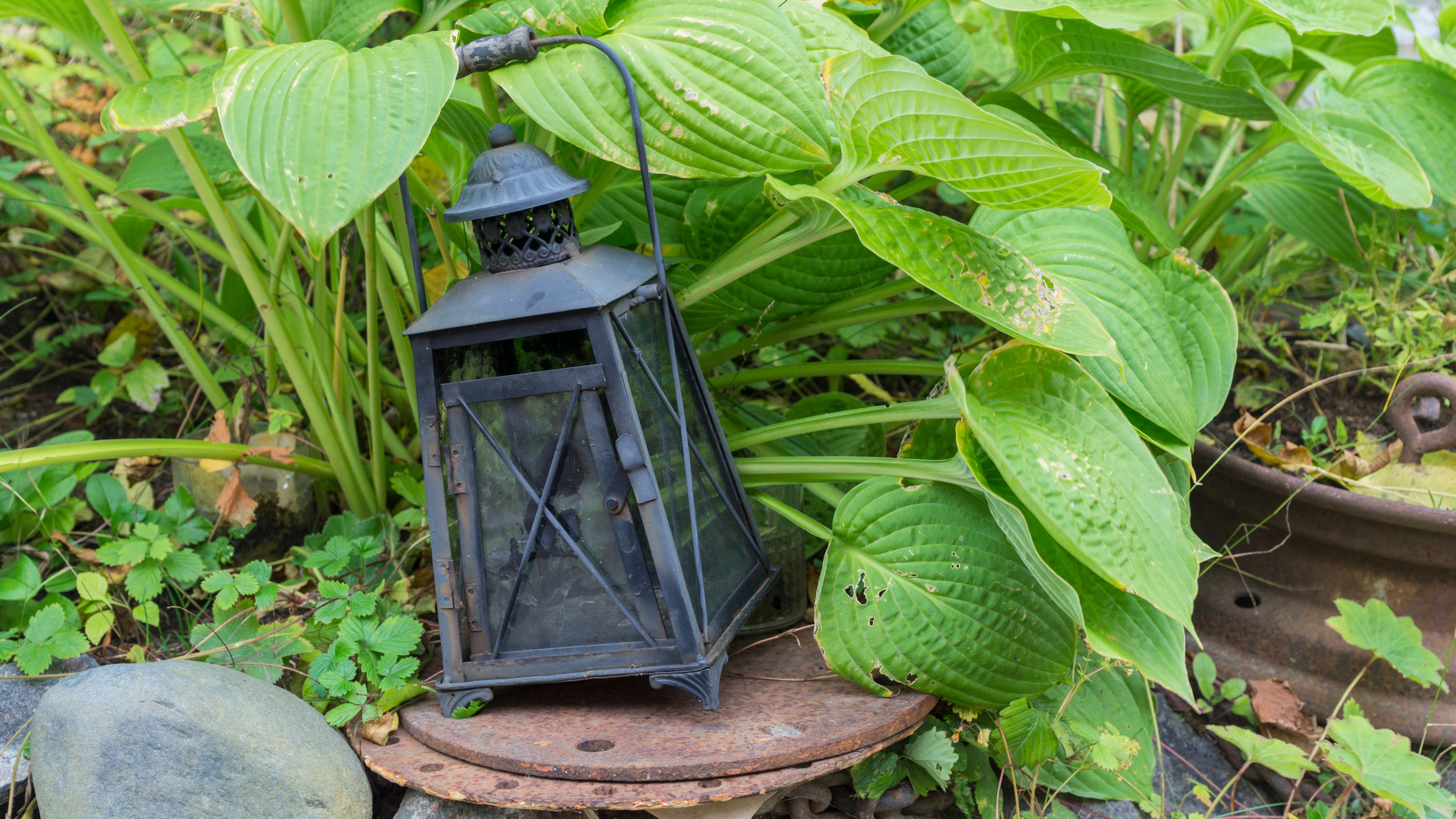 Хельсинки. Фотограф-путешественник Самойлов Максим «Sly Fox»