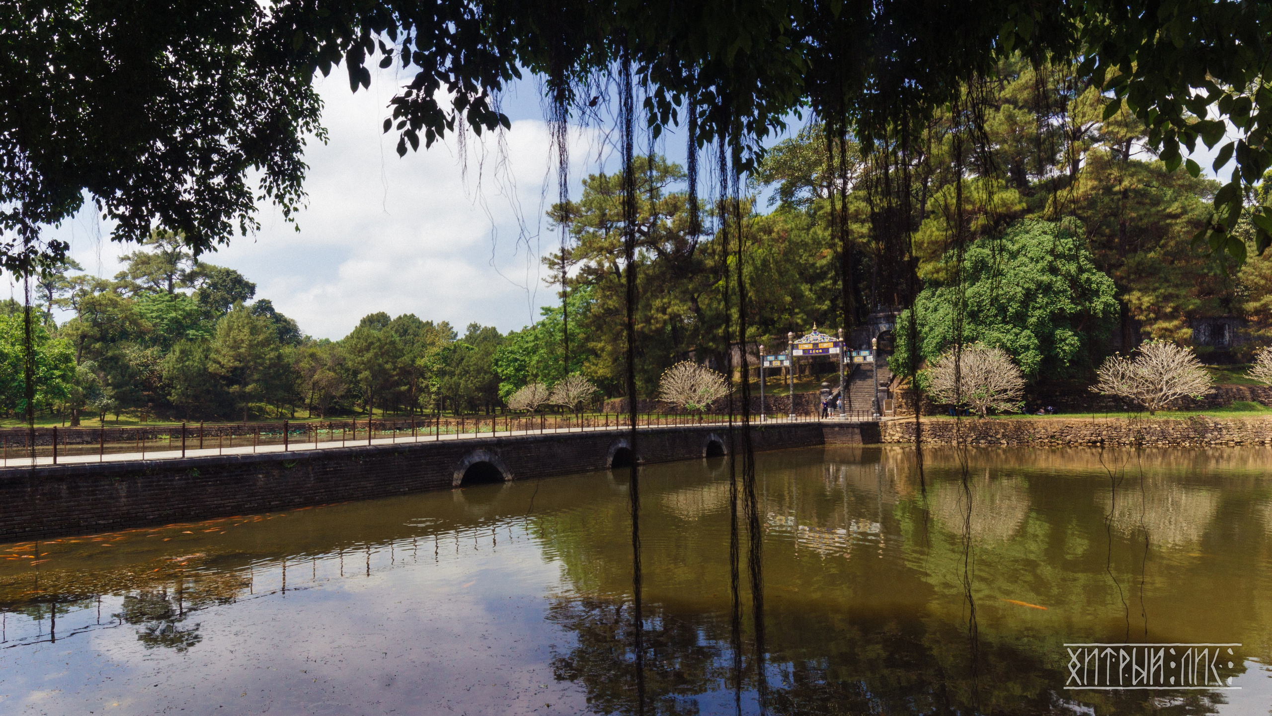 Вьетнам. Фотограф-путешественник Самойлов Максим «Sly Fox»