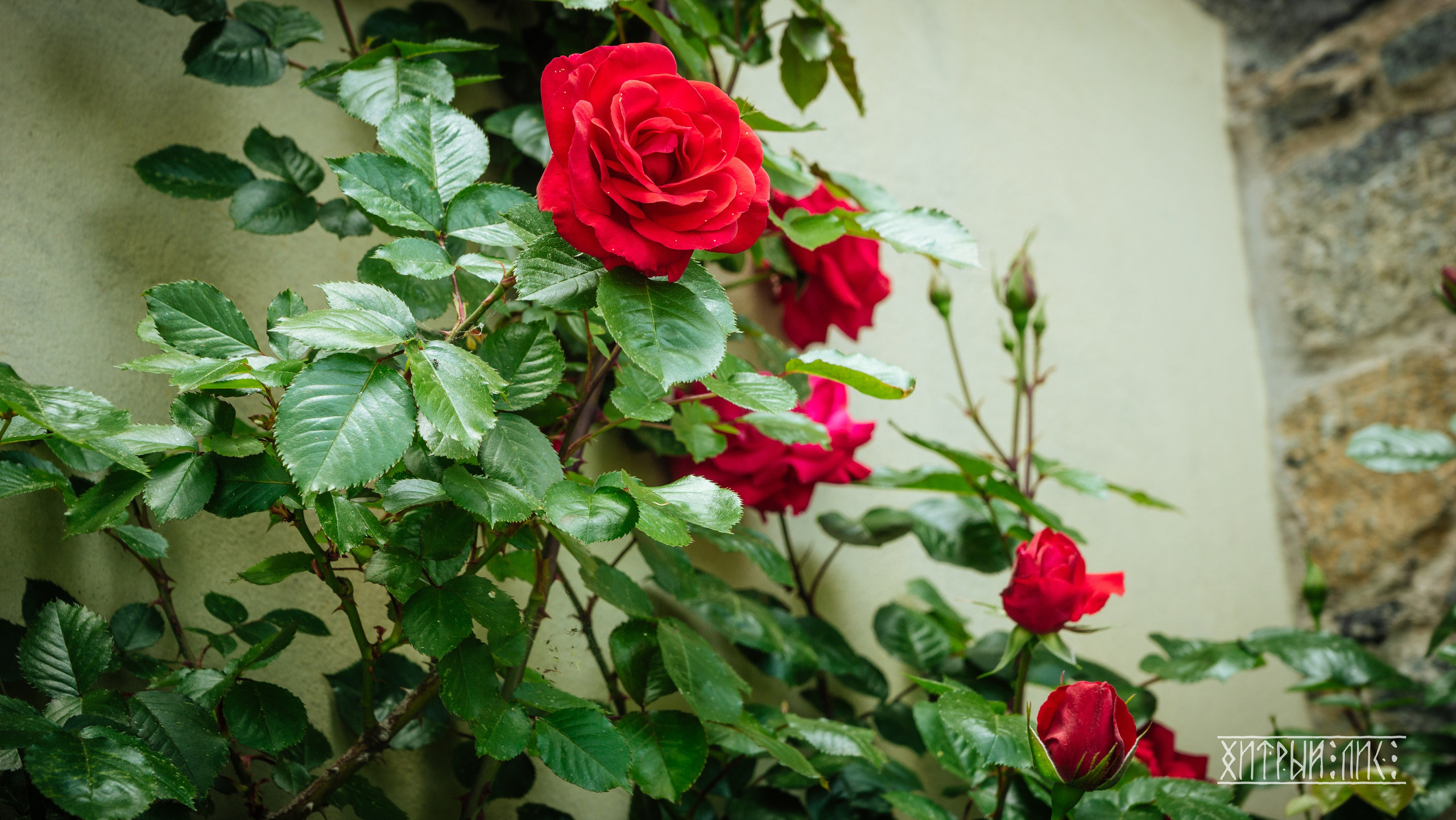 Кипр. Фотограф-путешественник Самойлов Максим «Sly Fox»