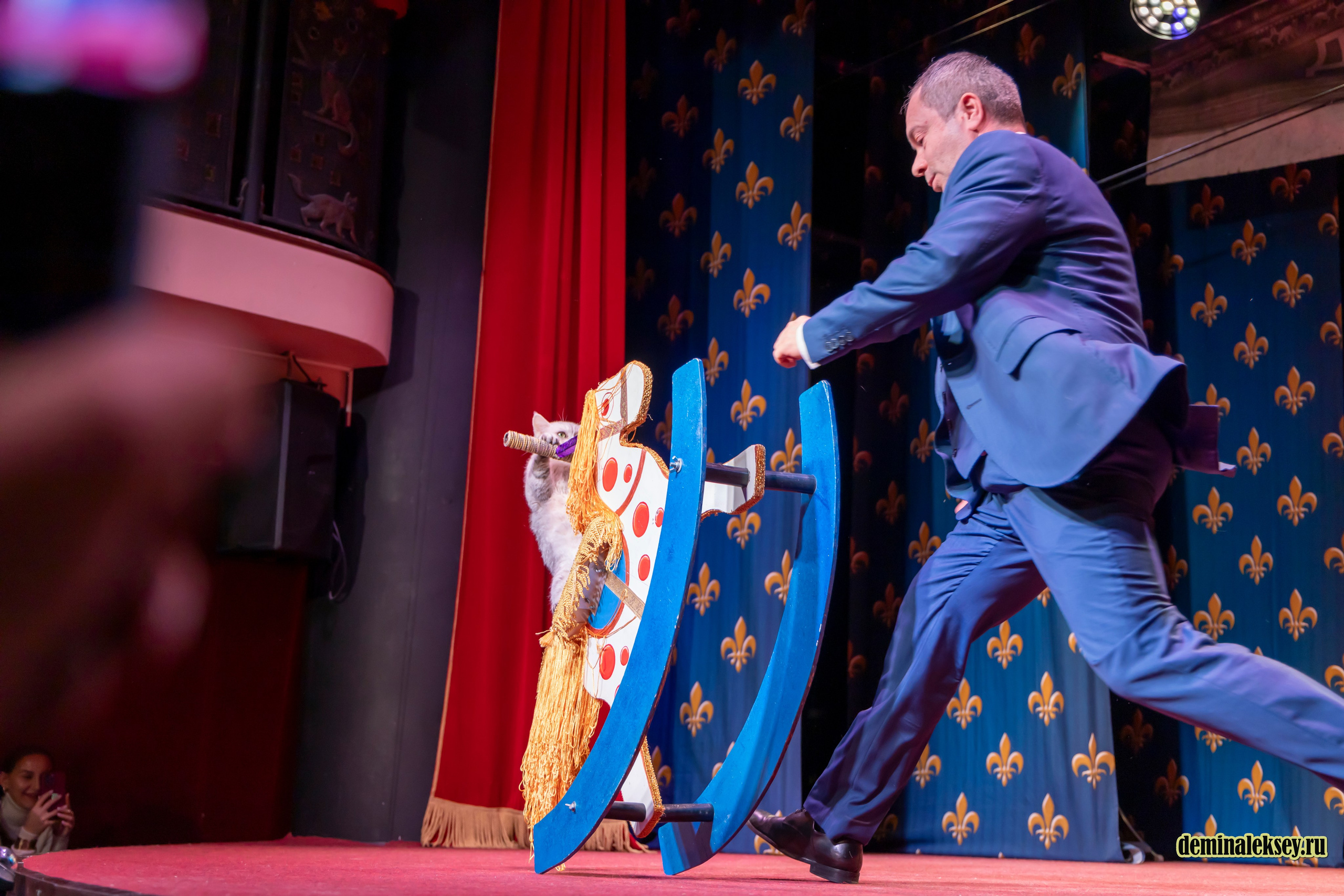 Театр кошек Куклачева 26 февраля 2025. Репортажный, семейный и студийный фотограф в Москве Демин Алексей