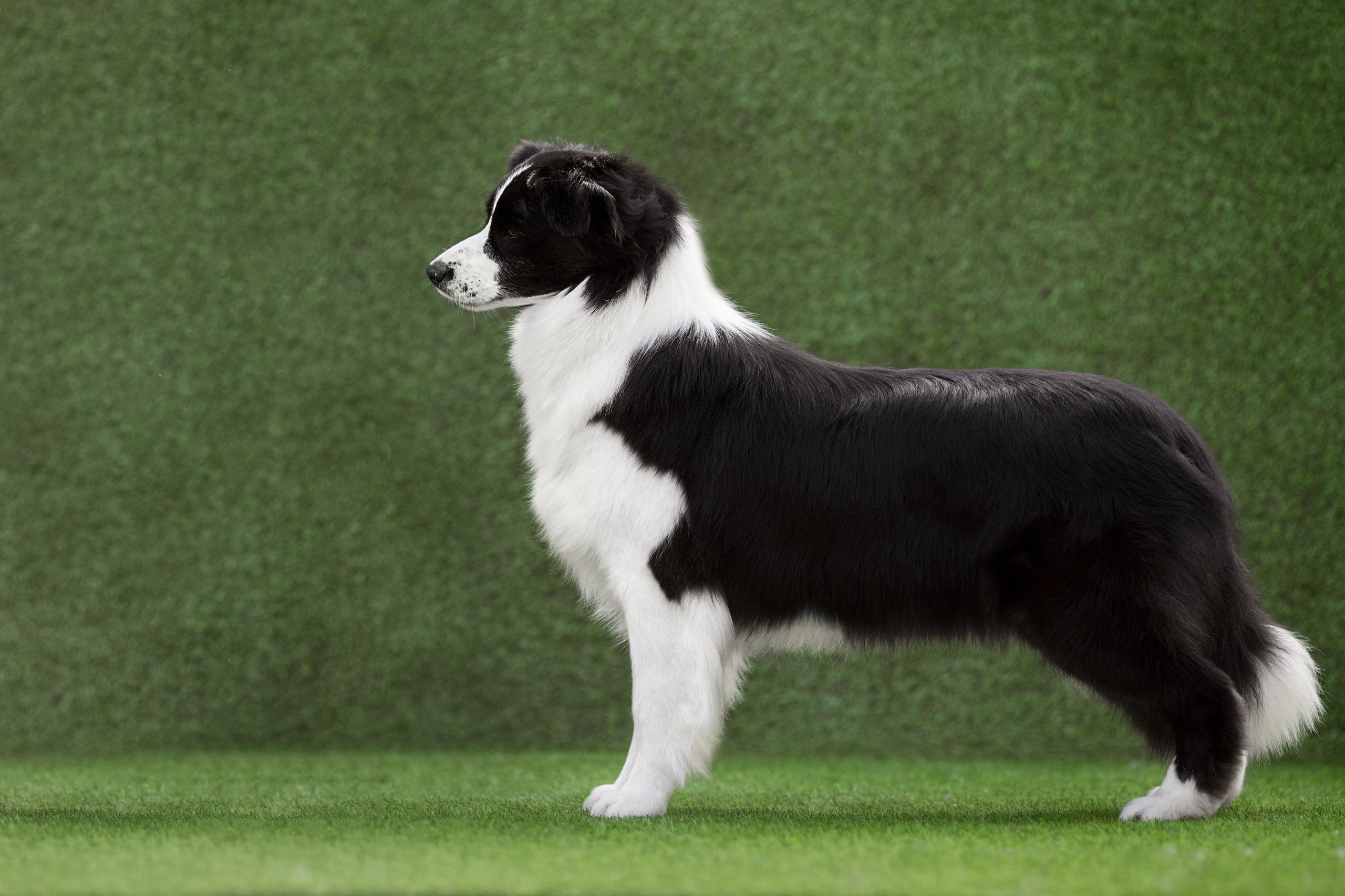 Роскошь в ростошах. О нас